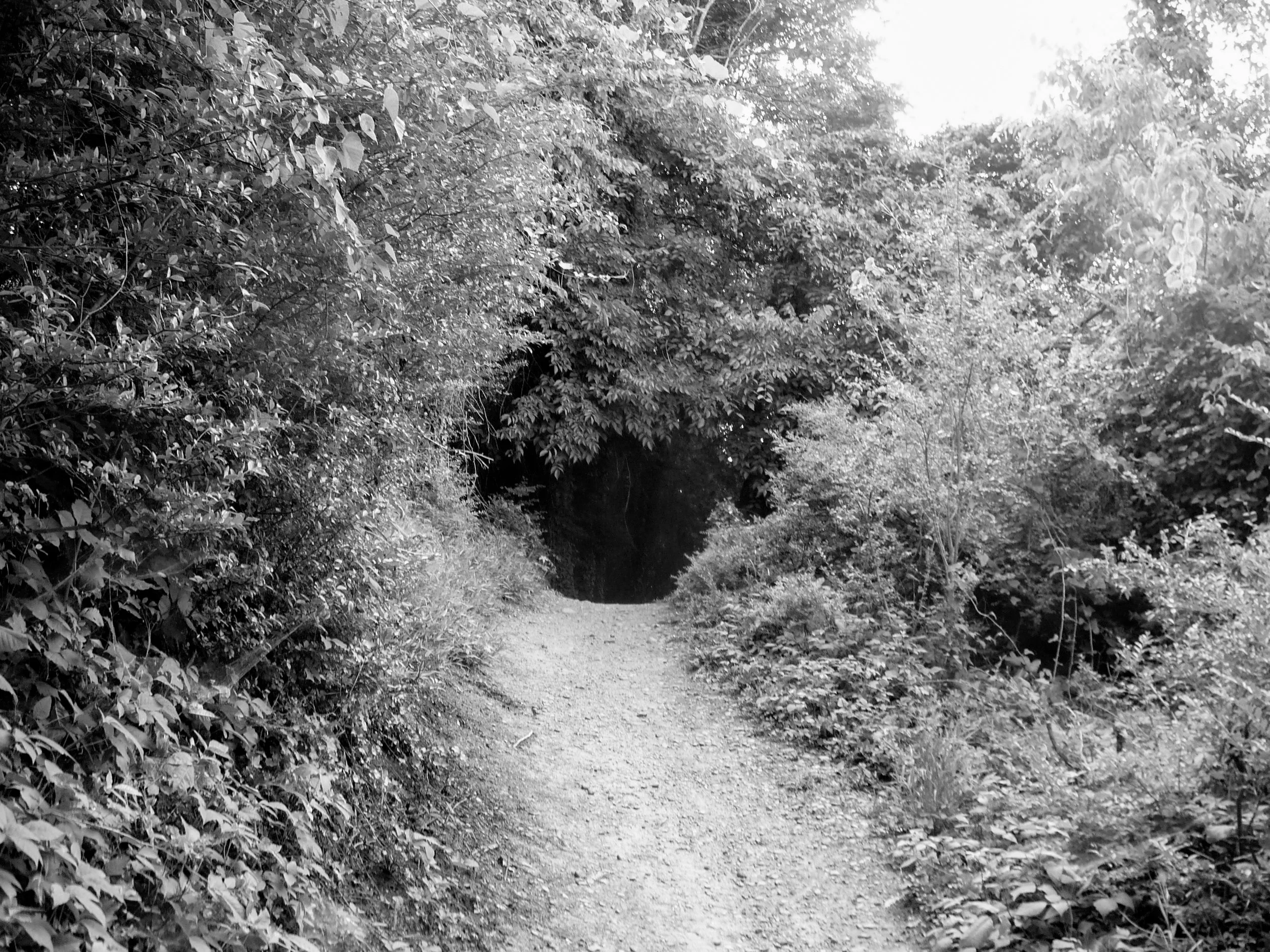 20260601-1010679.jpg