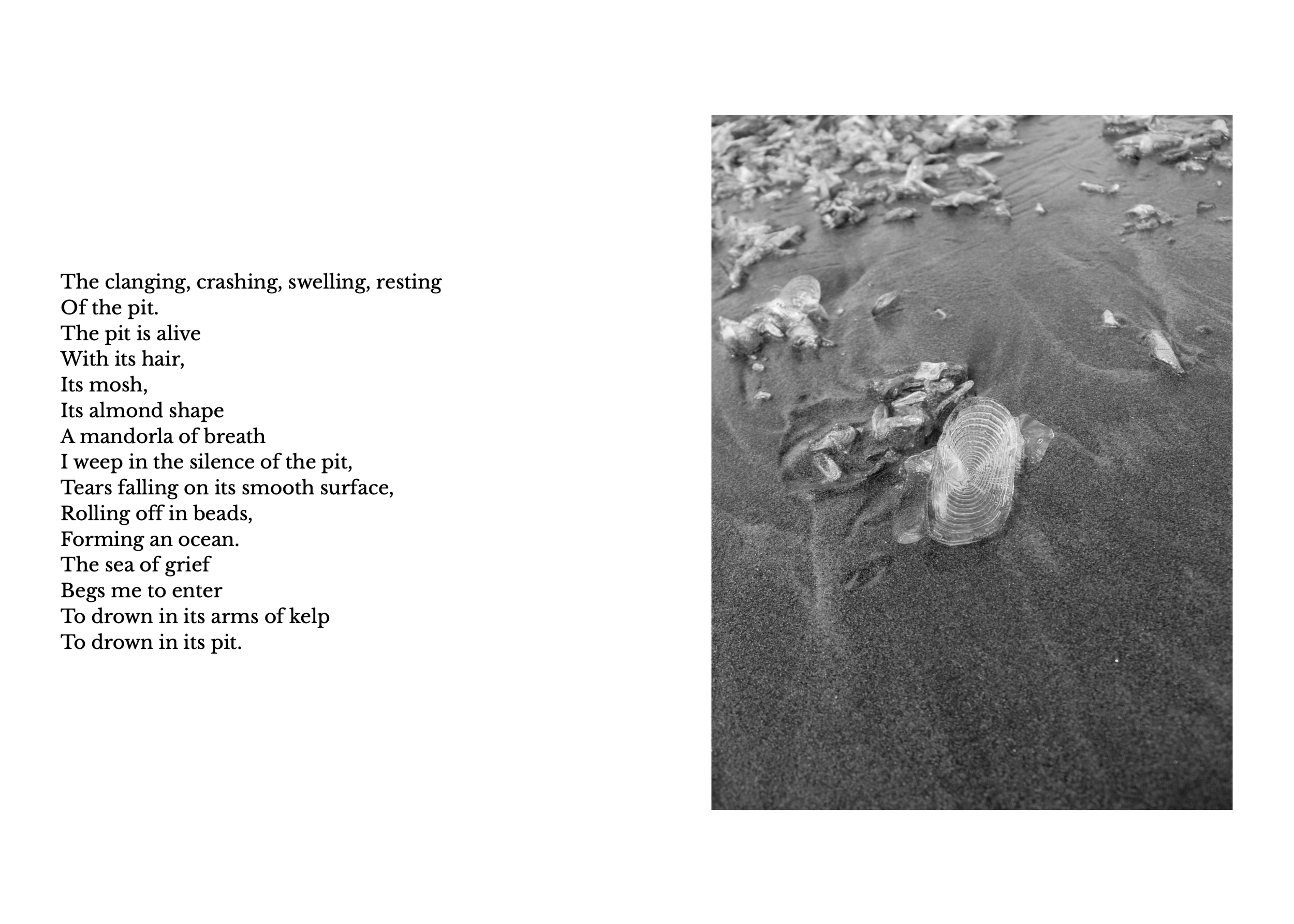 Screen Shot 2026-03-28 at 12.51.21 PM.png