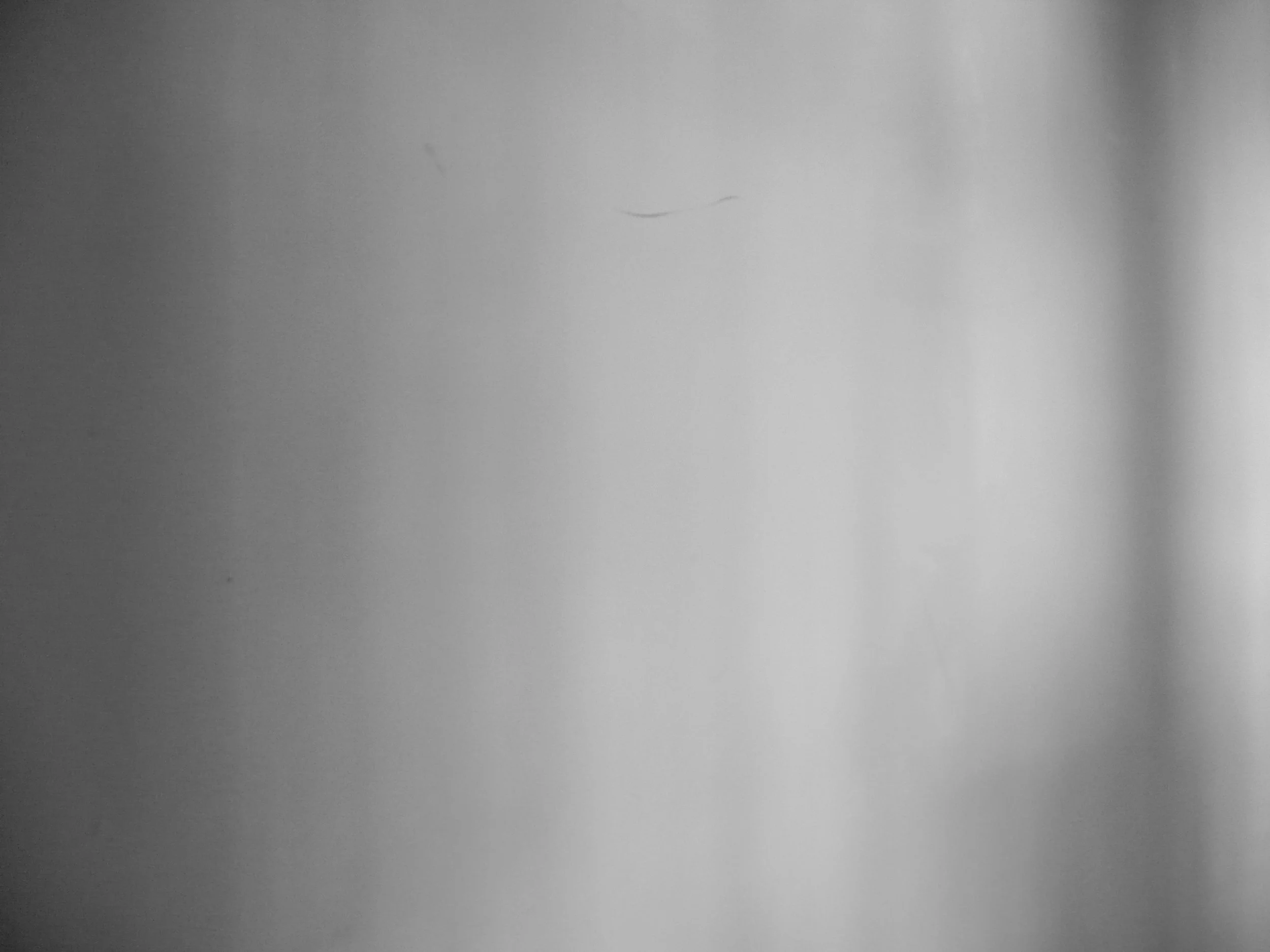 20260530-1010667-2.jpg