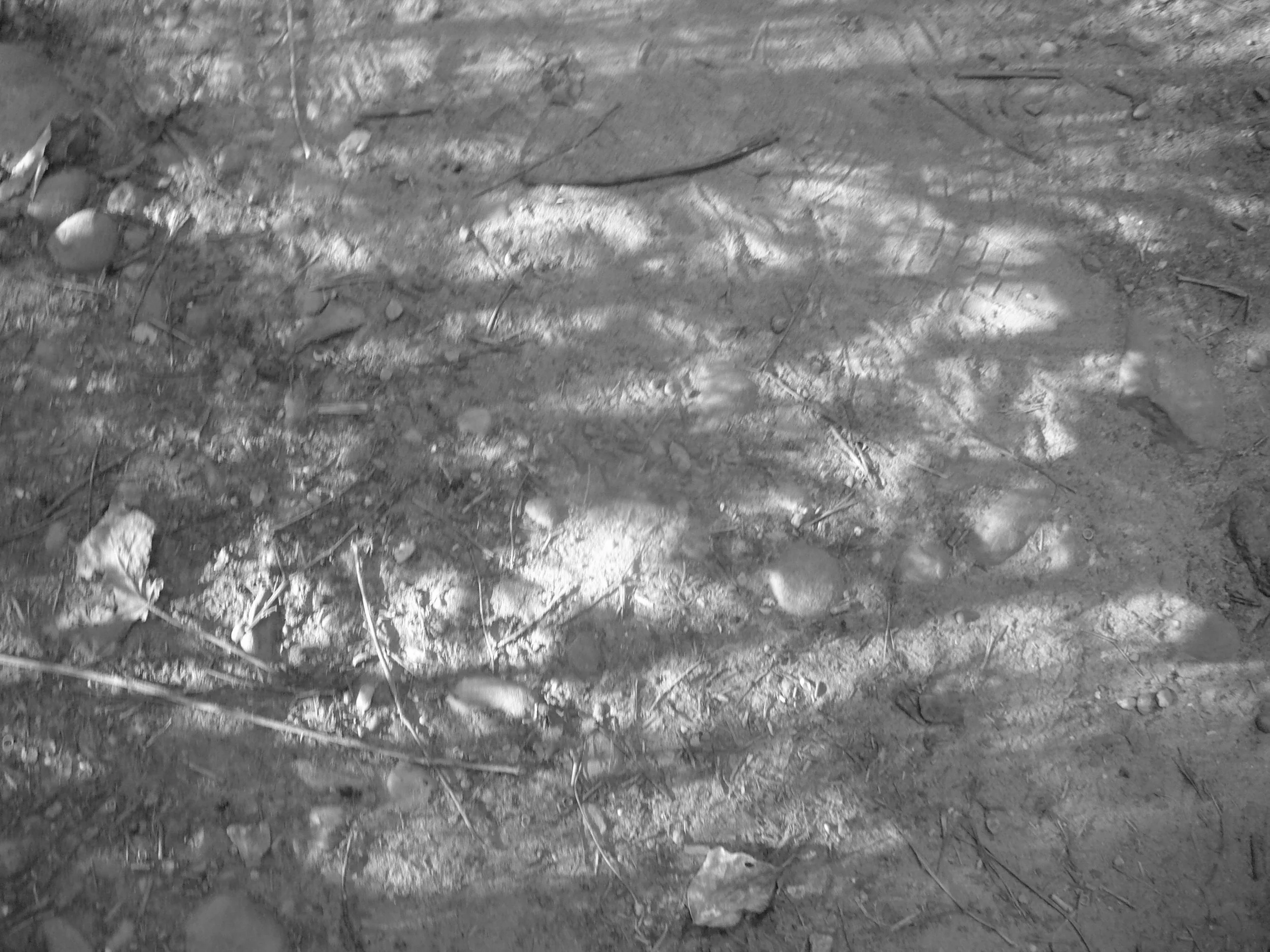 20260601-1010678-2.jpg