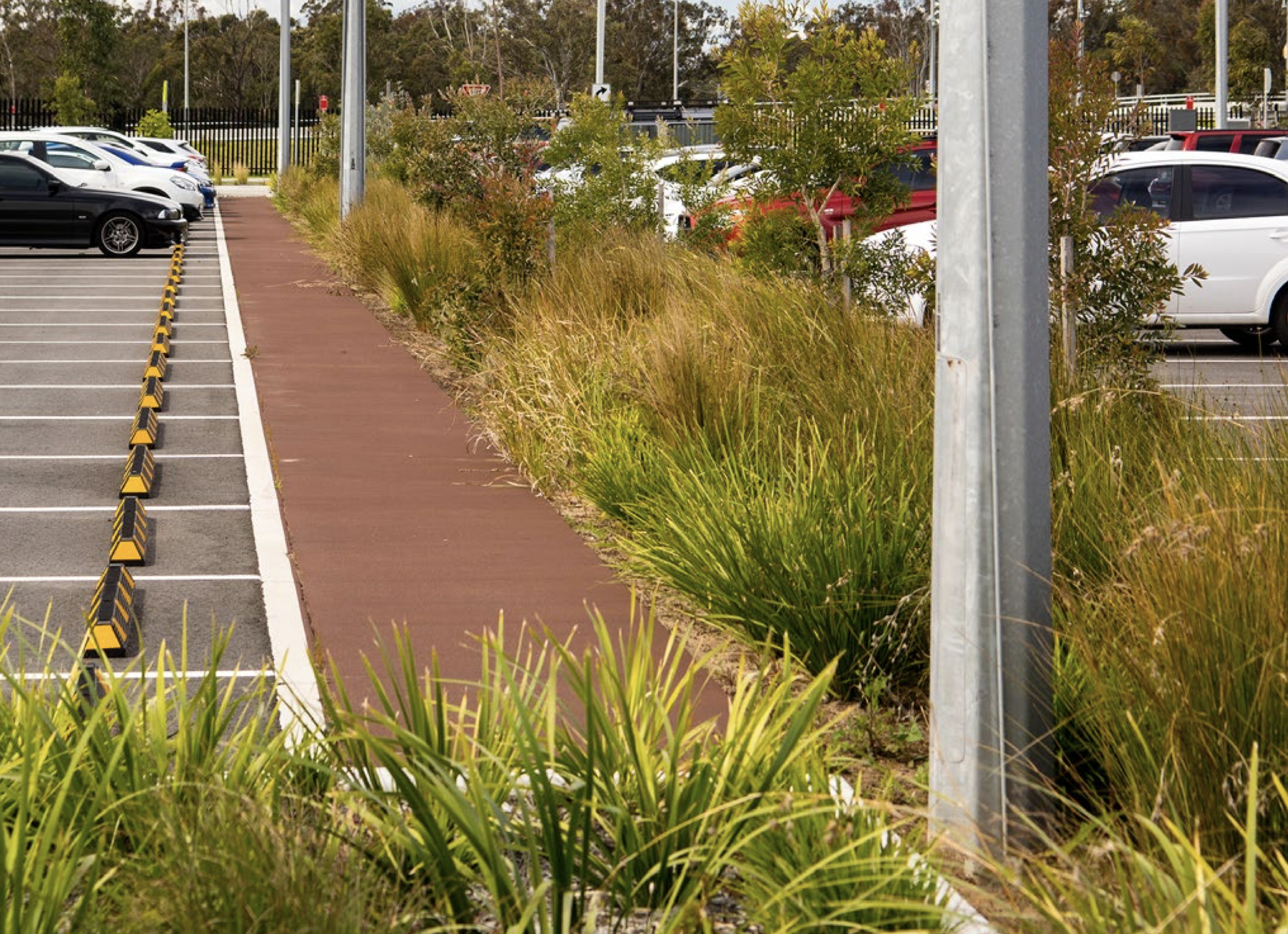 Designing with Water in Mind: Integrating WSUD into Transport and Civic Landscapes