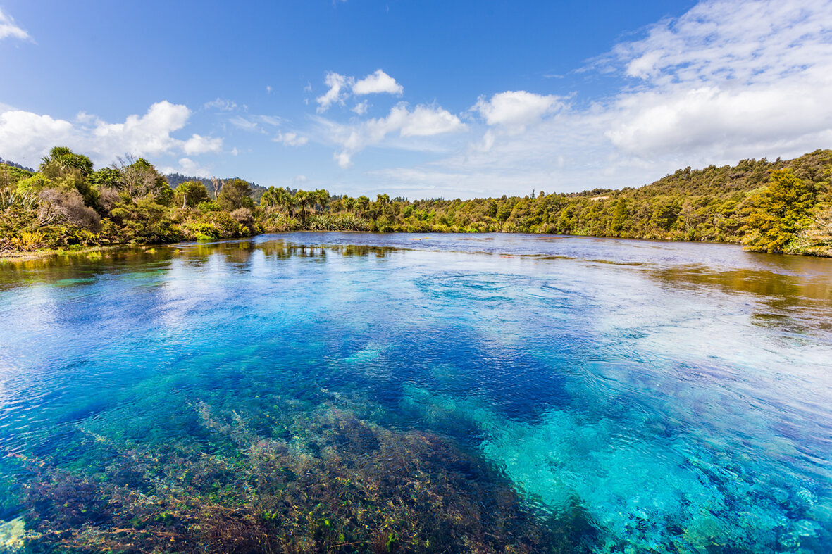 Top South Island Loop Including Farewell Spit