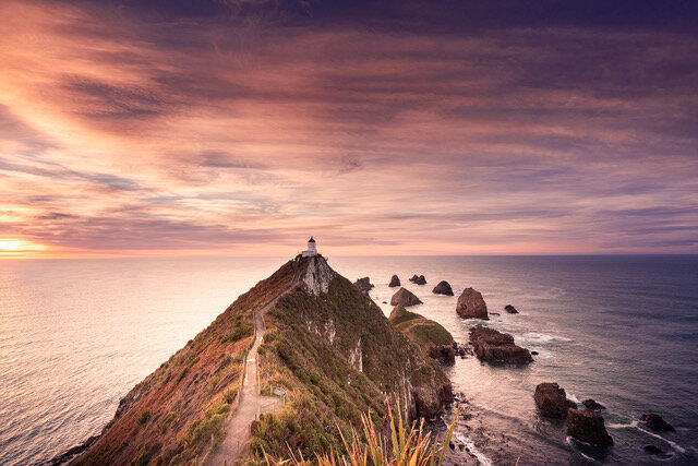 Dunedin, Catlins, Stewart Island and Cromwell