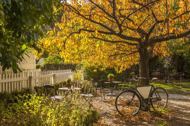 Arrowtown “Autumn Magic”& Stunning Dunedin