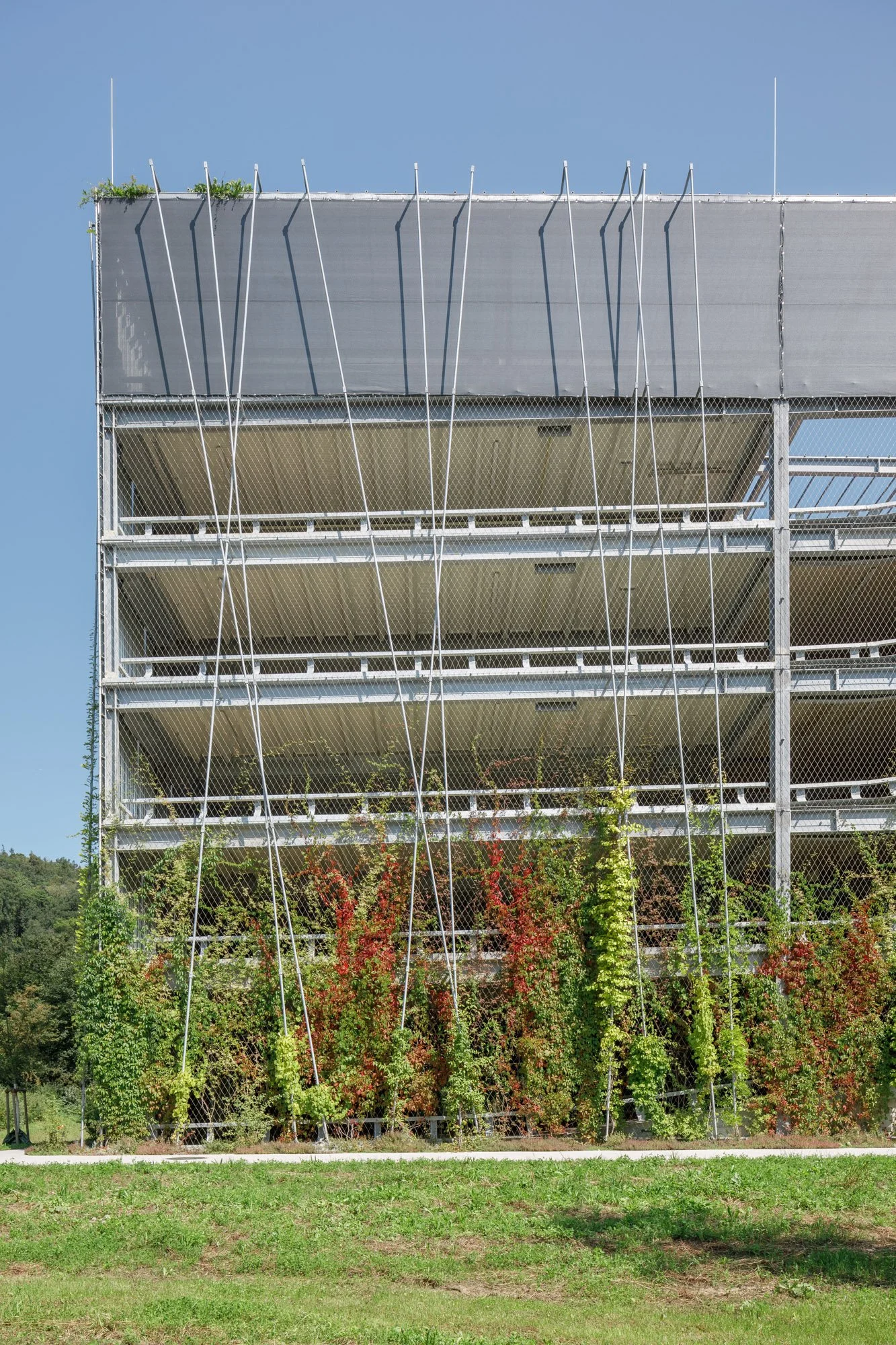 9.Foto©Mark_Sengstbratl.jpg