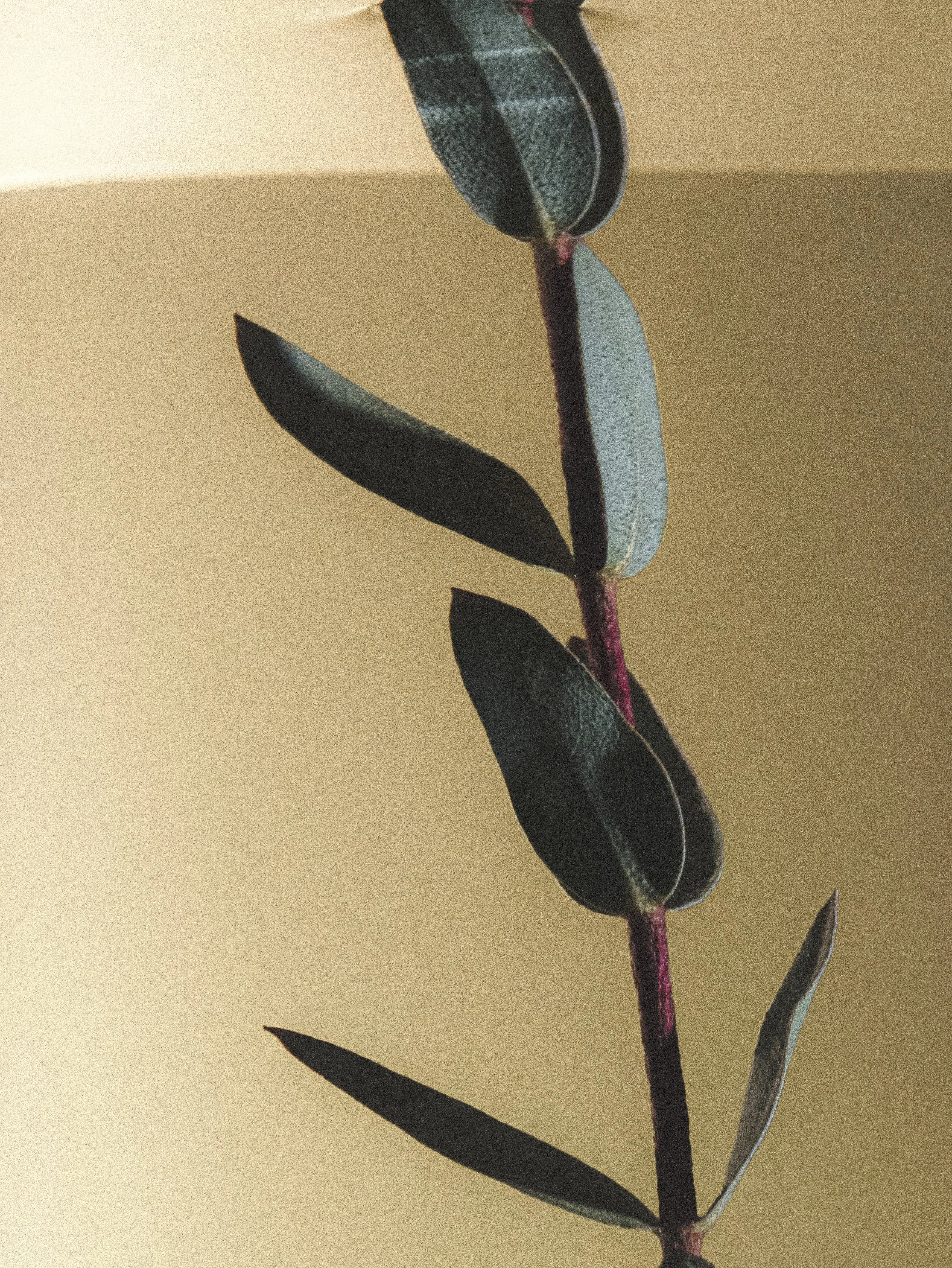 09032026-DSCF9538-Modifier.jpg