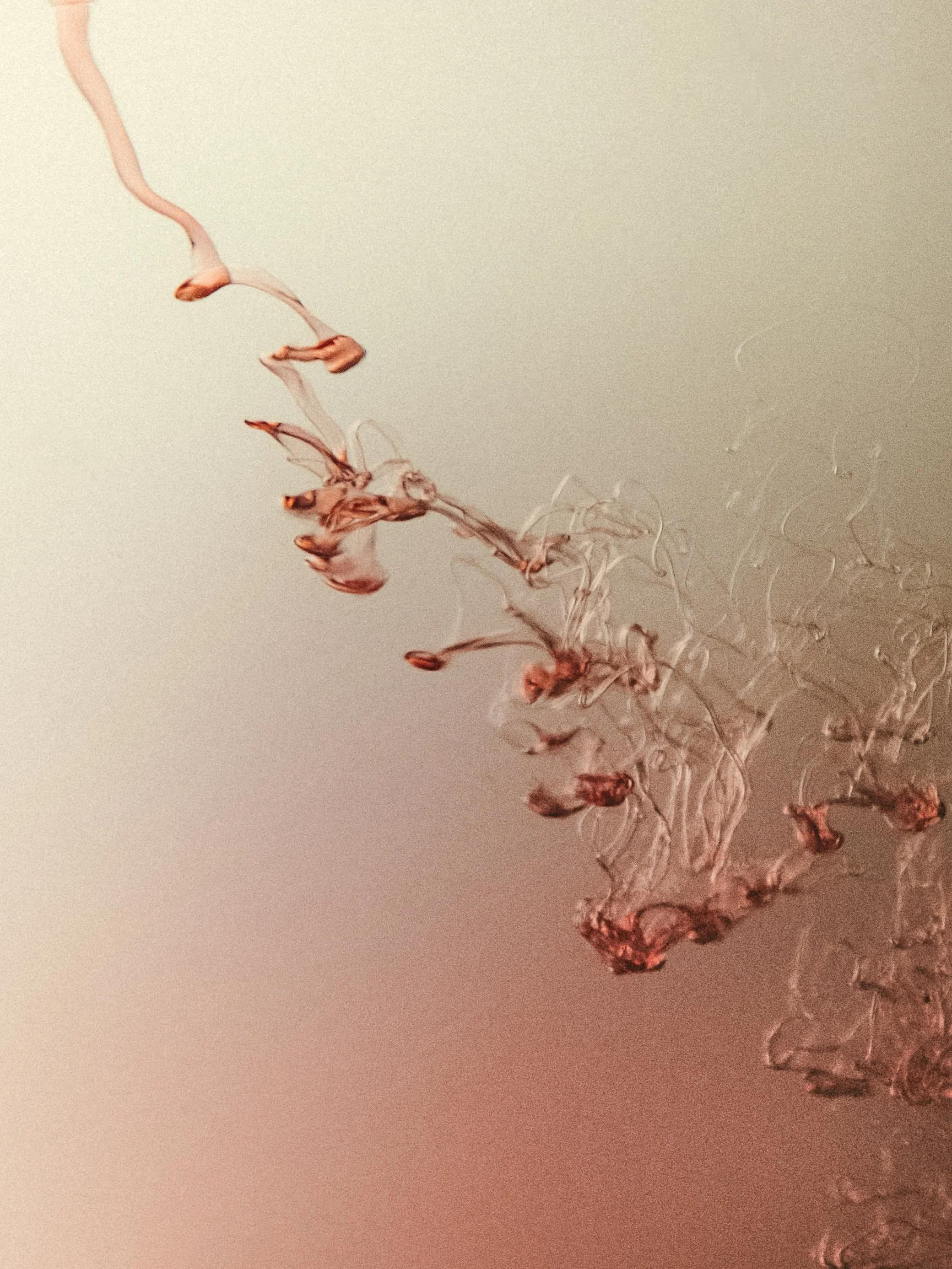 09032026-DSCF9562-Modifier.jpg