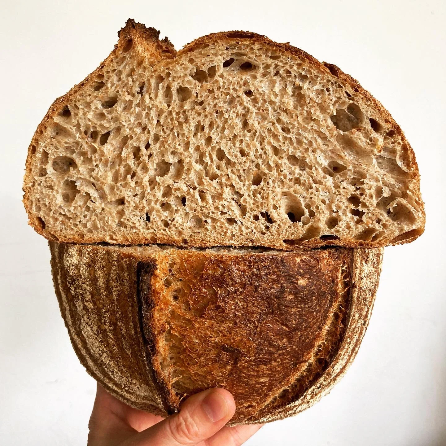 wholemeal sourdough crumb.jpg