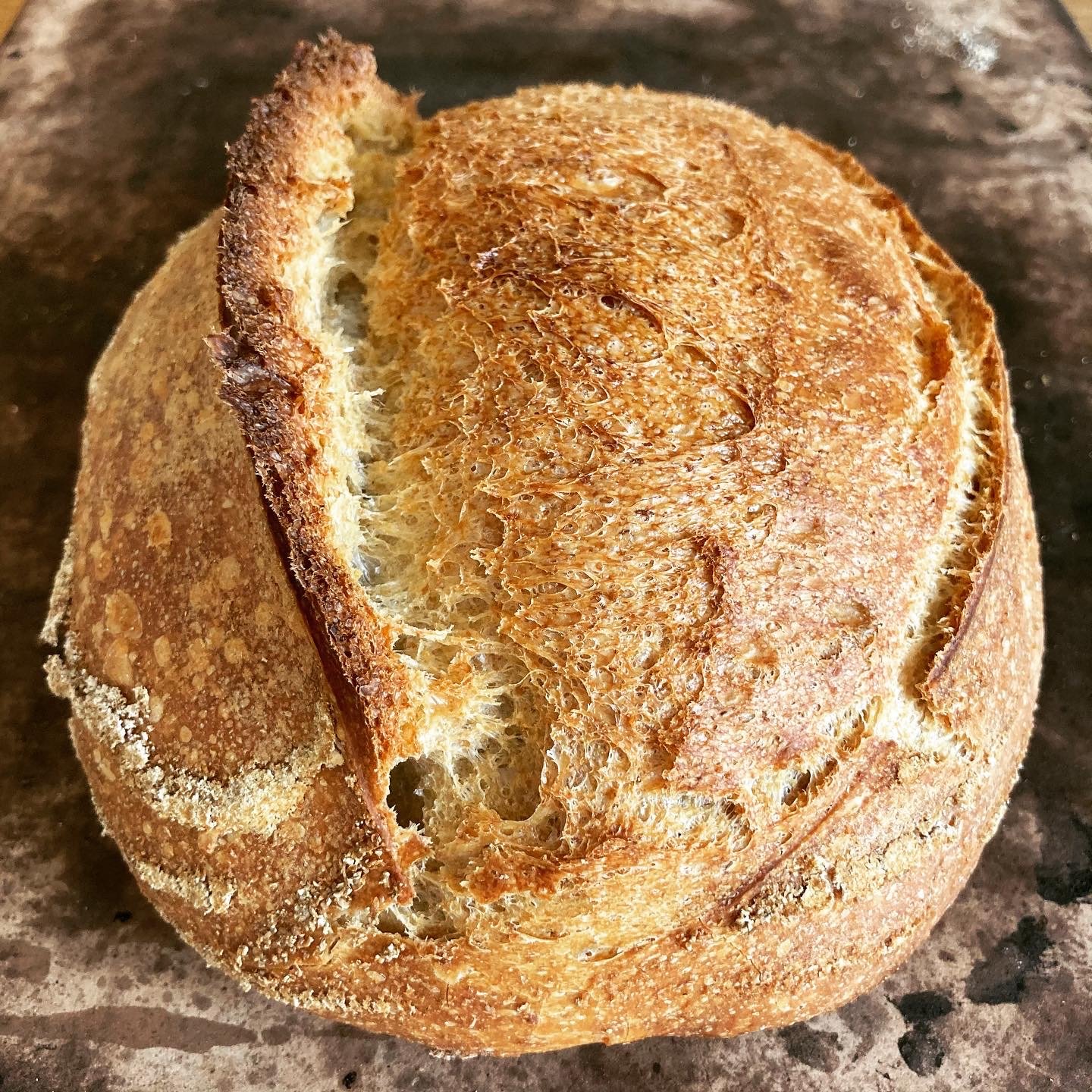 white sourdough.jpg