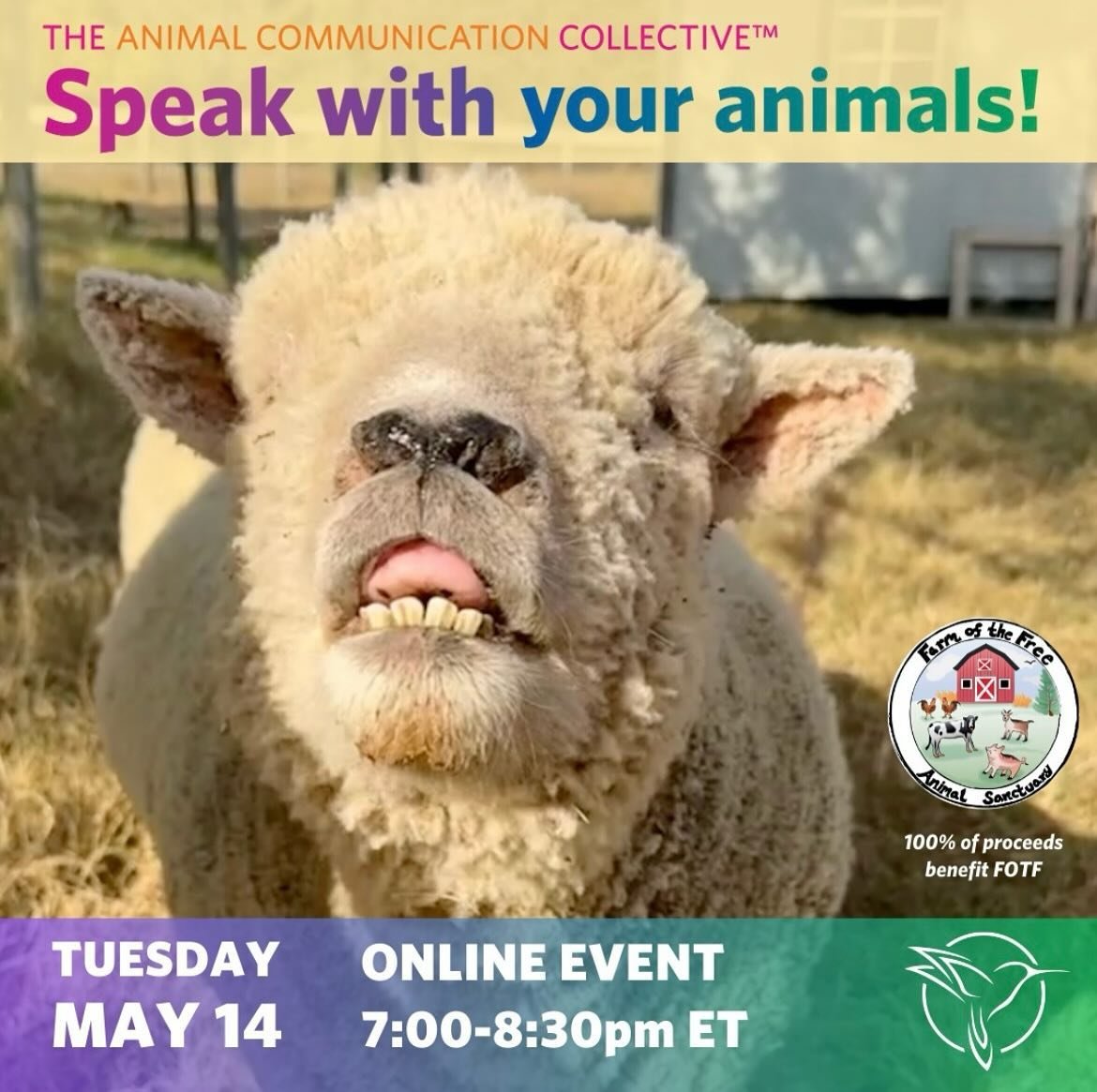 Dive into the enchanting world of animal communication with Farm of the Free Animal Sanctuary! Join FOTF for a virtual event on Tuesday, May 14 in collaboration with @animalcommunicationcollective. Meet professional animal communicators Karen, Meredi