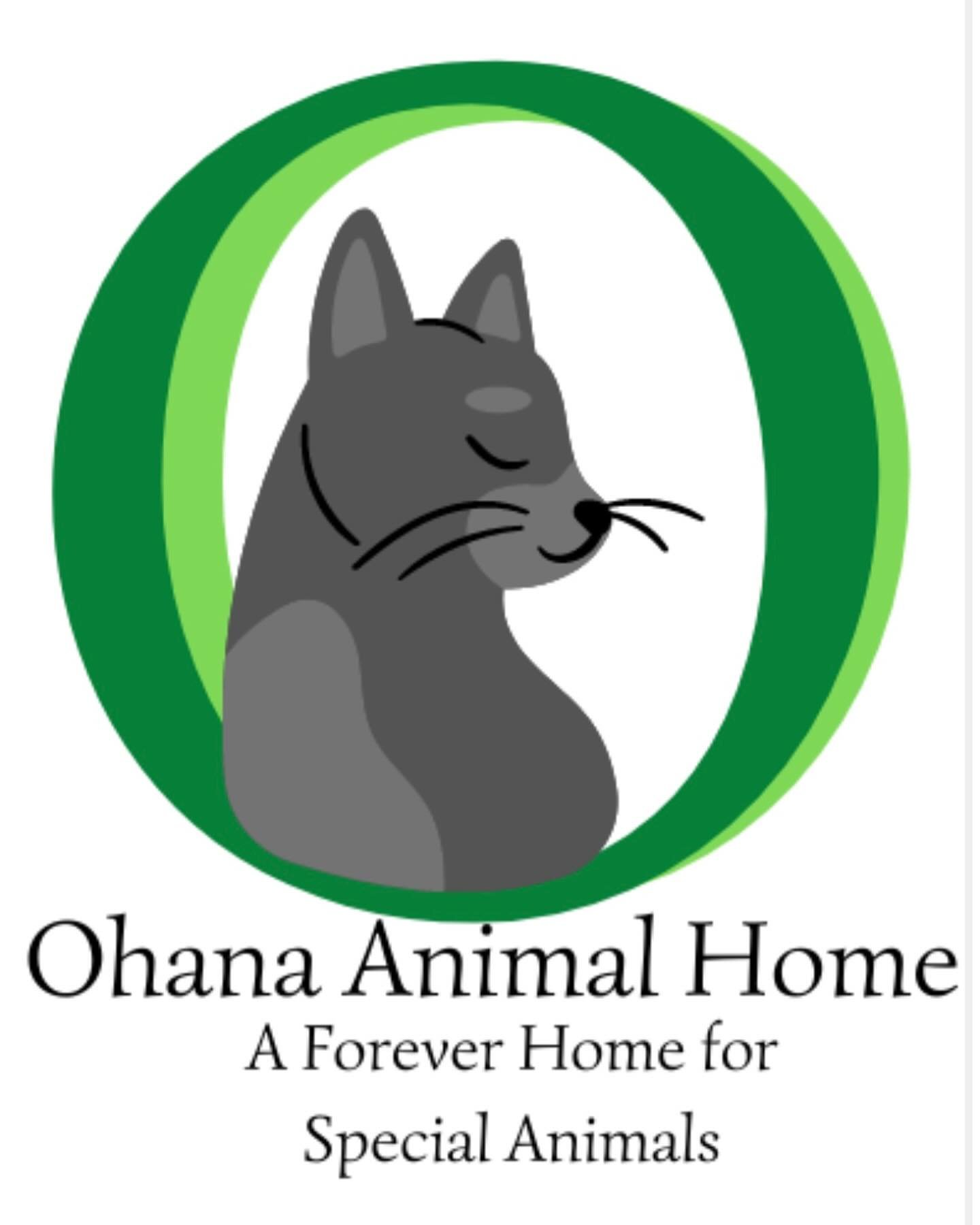 Congratulations to @ohanaanimalhome for being the first winner in our Be Kind to Animals Contest for having the most votes! This is the second year in a row that Ohana has won this contest. It was a very close one this year, but thanks to the generou