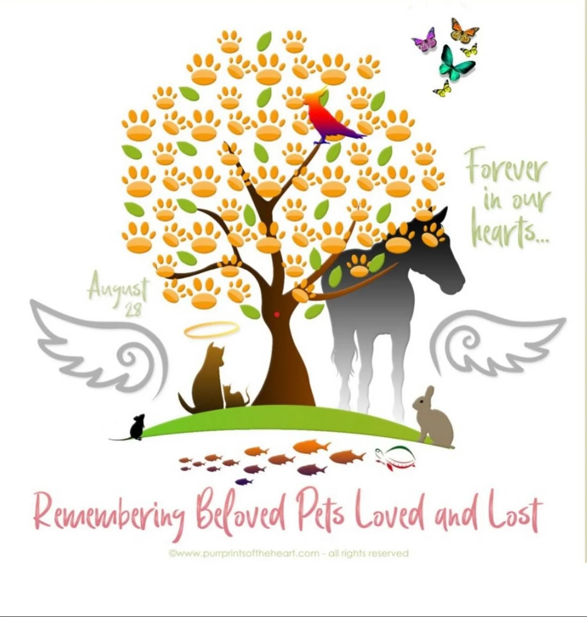🌈 Today is Rainbow Bridge Remembrance Day 🌈
Today we pause to honor the animal companions who shaped our days, taught us tenderness, and left pawprints on our hearts. Though they’ve crossed over, their love lives on – a quiet, steady l