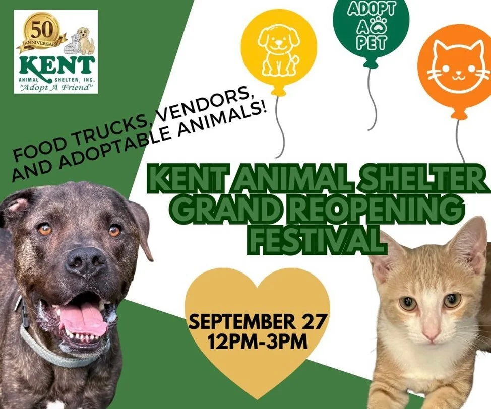 Come celebrate Kent Animal Shelter’s Grand Reopening Festival on Saturday, September 27th from 12–3 PM at 2259 River Road, Calverton, NY.
Join us and support the animals, tour their beautifully renovated facility, and enjoy a perfect da