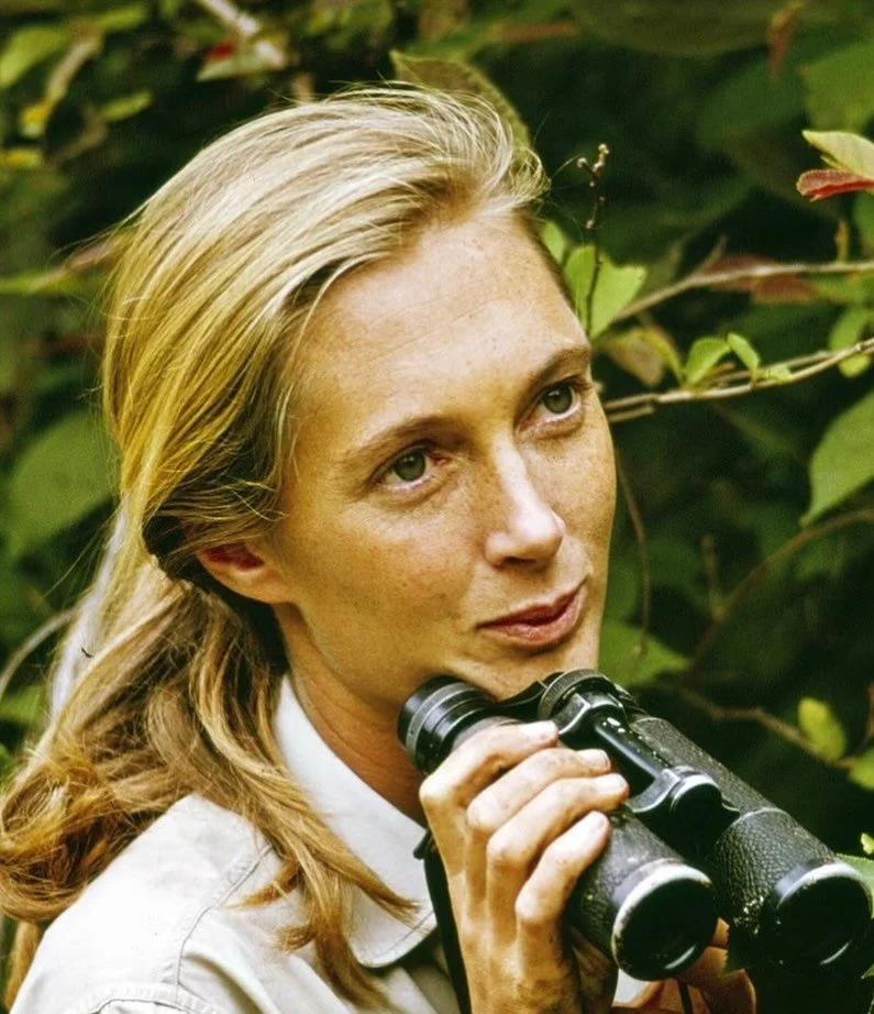 I’m heartbroken to hear that Jane Goodall has passed away at 91. She changed how the world sees animals and taught me, and so many others, to listen with curiosity, act with compassion, and keep hope for the planet alive. Rest in peace Jane and