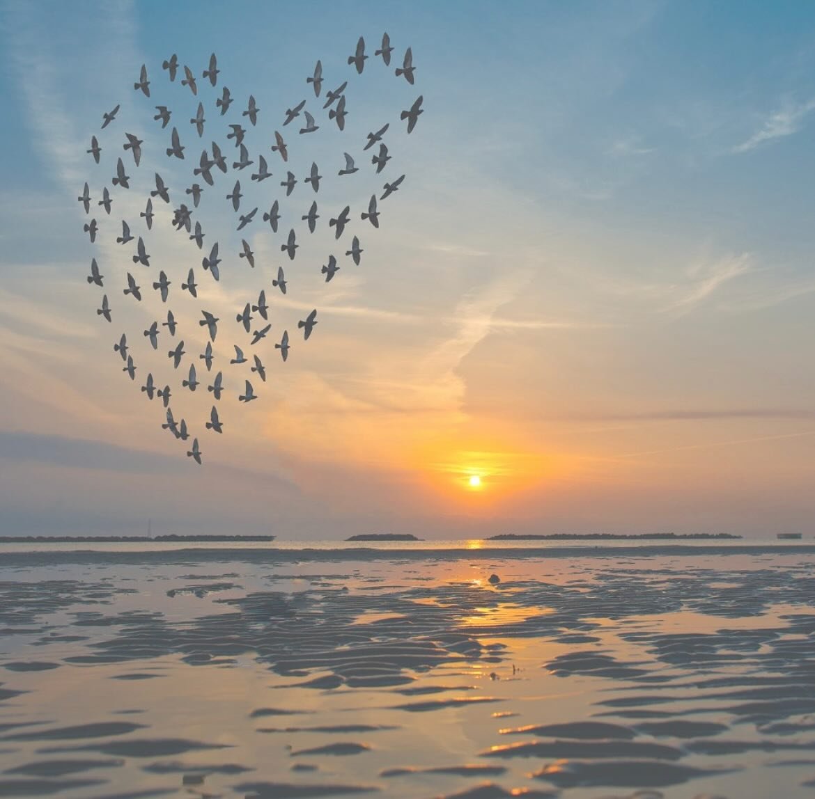 This coming Sunday, I&rsquo;m offering my free Healing Blessing for Animals for the month of November.

These blessings are for animals who are unwell, aging, or in need of comfort. They will provide a nurturing and supportive space, focusing on send