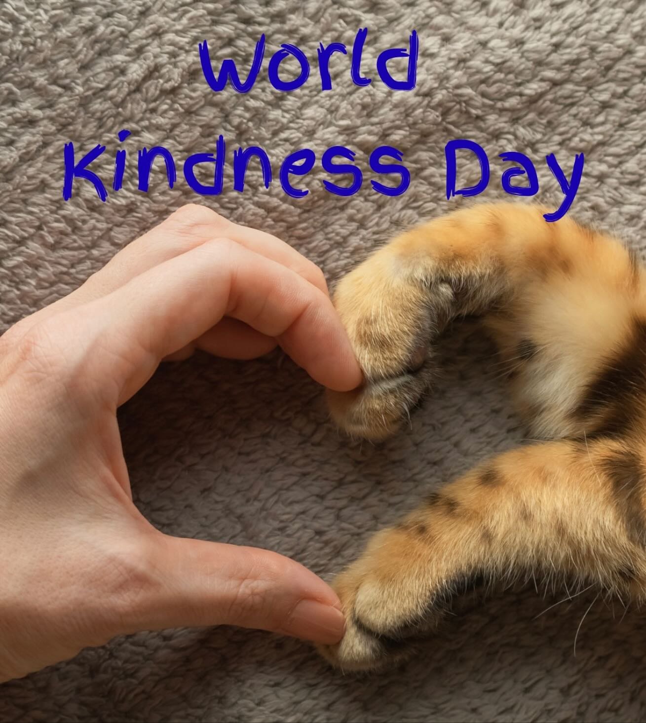 World Kindness Day reminds us that compassion isn&rsquo;t only for people. It&rsquo;s for the animals who share our homes, our neighborhoods, and our wild places. They teach us loyalty, courage, curiosity, love, and how to live in the moment. 

Today