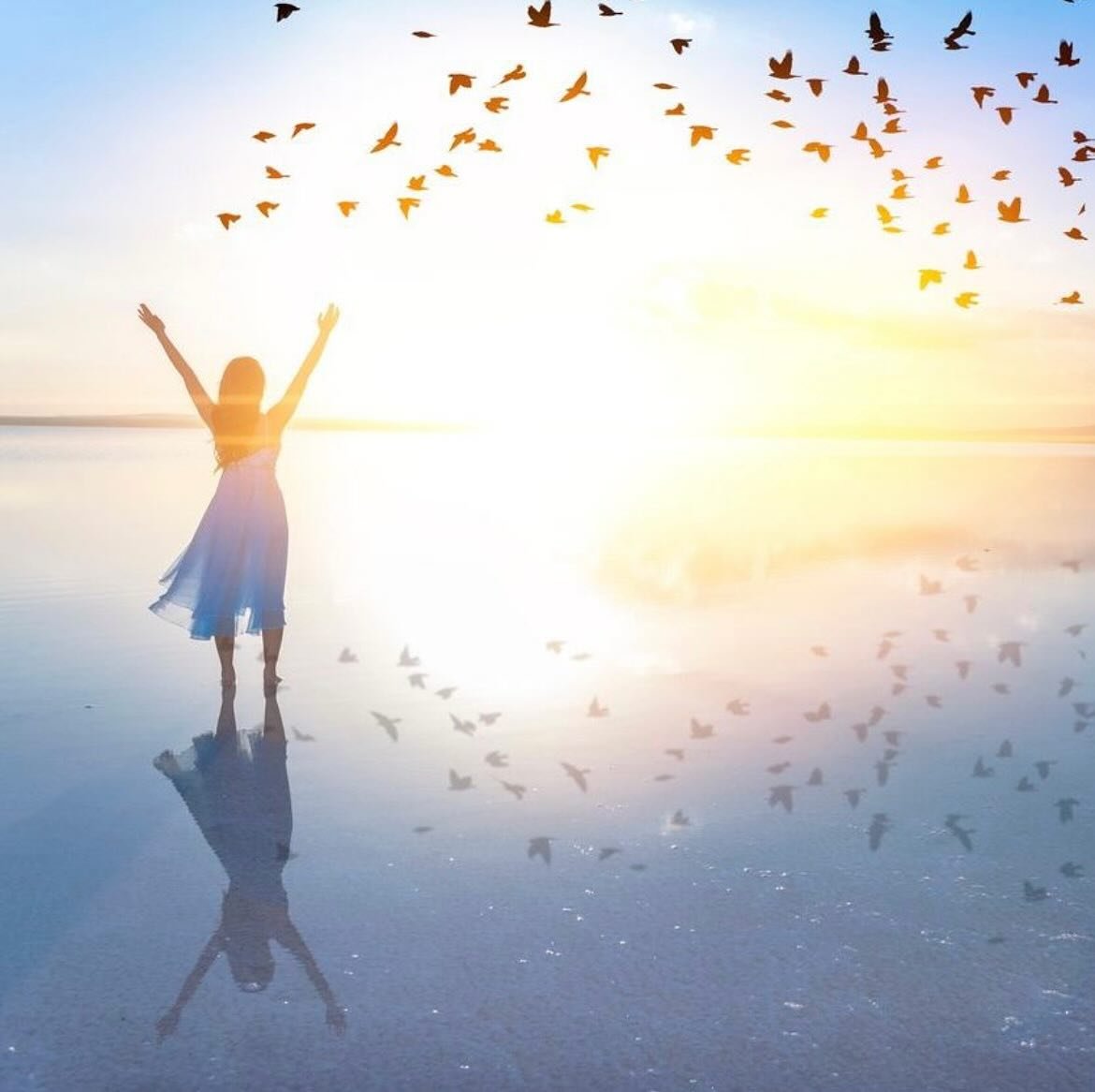 The November Healing Blessing for Animals has just been completed offering love, support, and healing energy to the following incredible sentient beings:
 
❤️ Oscar ❤️
❤️ Pinot ❤️
❤️ Breezy ❤️
❤️ Lady Bug ❤️
❤️ Splash ❤️
❤️ Mother Deer who has been l