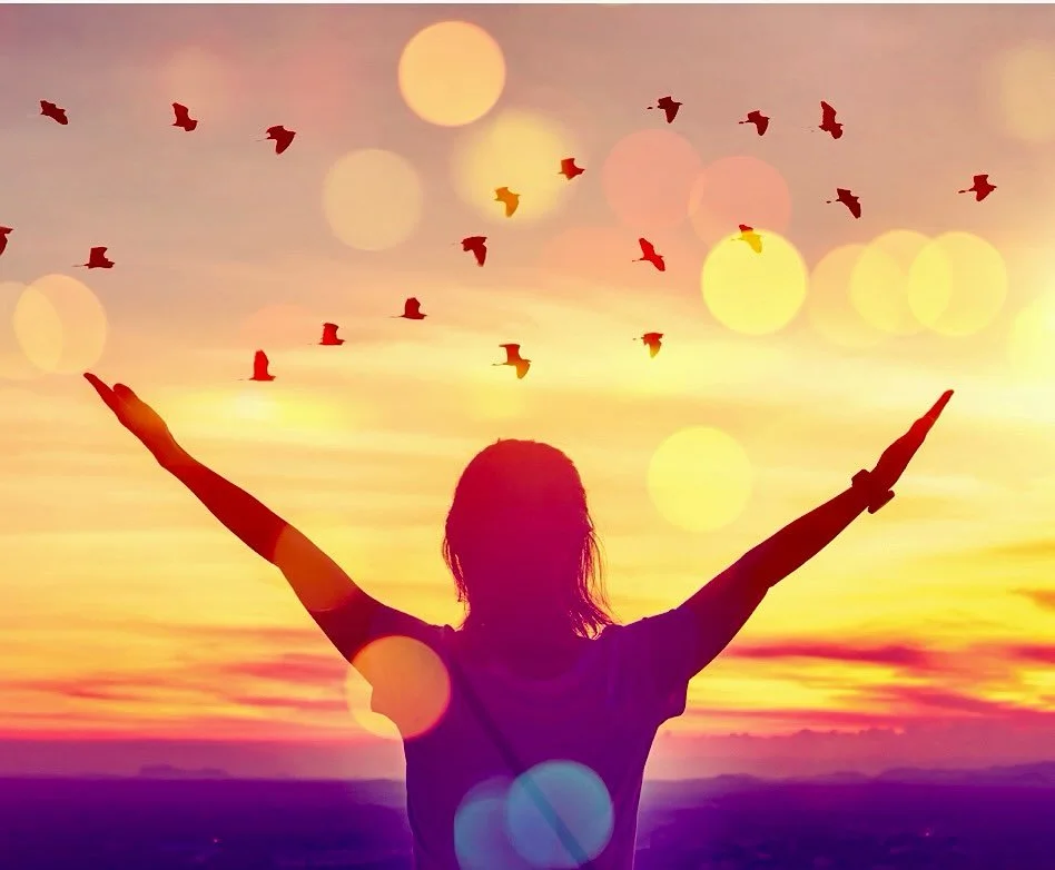 The December Sacred Sendoff Ceremony has just been completed, honoring and celebrating the lives of the following incredible sentient beings. Each one was acknowledged with love and respect, letting them know they are forever cherished, remembered, a