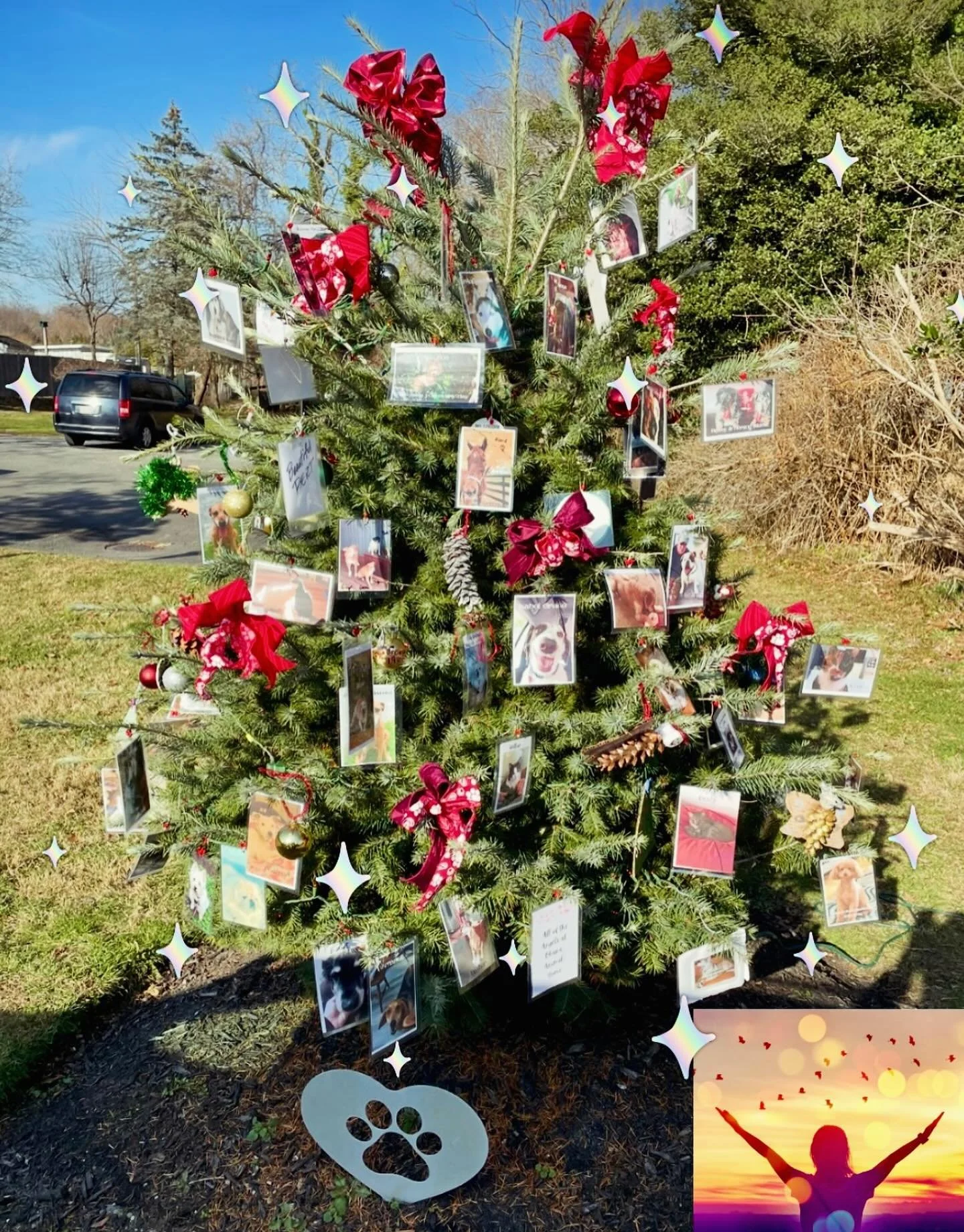 As 2025 nears the end, my heart is full. This year, we honored and held space for thousands of precious lives through my monthly Sacred Sendoff Ceremonies, each one a unique heart that changed the world by simply being who they were.
 
Many more were