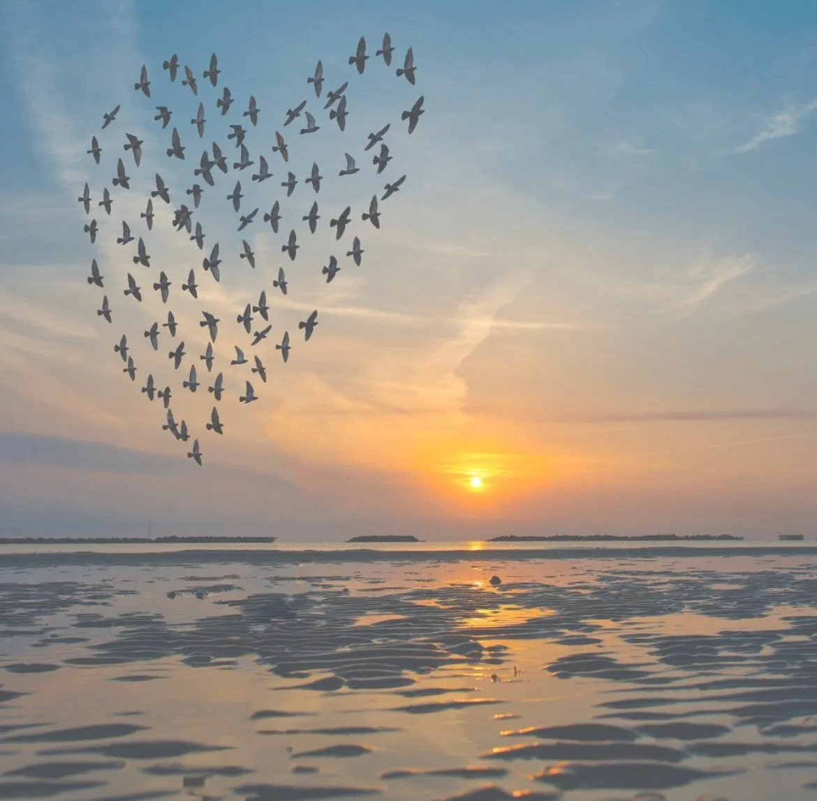 This coming Sunday, I&rsquo;m offering my free Healing Blessing for Animals for the month of August.

These blessings are for animals who are unwell, aging, or in need of comfort. They will provide a nurturing and supportive space, focusing on sendin