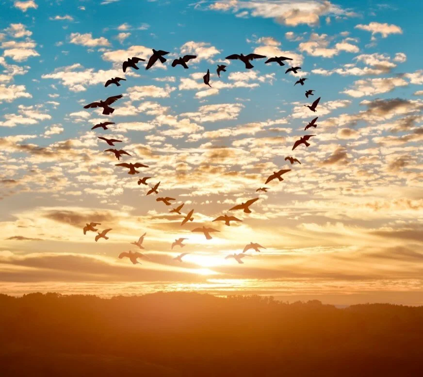 This coming Sunday, I&rsquo;m offering my free Sacred Sendoff Ceremony for the month of September, a heartfelt opportunity to honor and remember the animals who have passed that touched our lives, both near and far.

These ceremonies are to honor ani