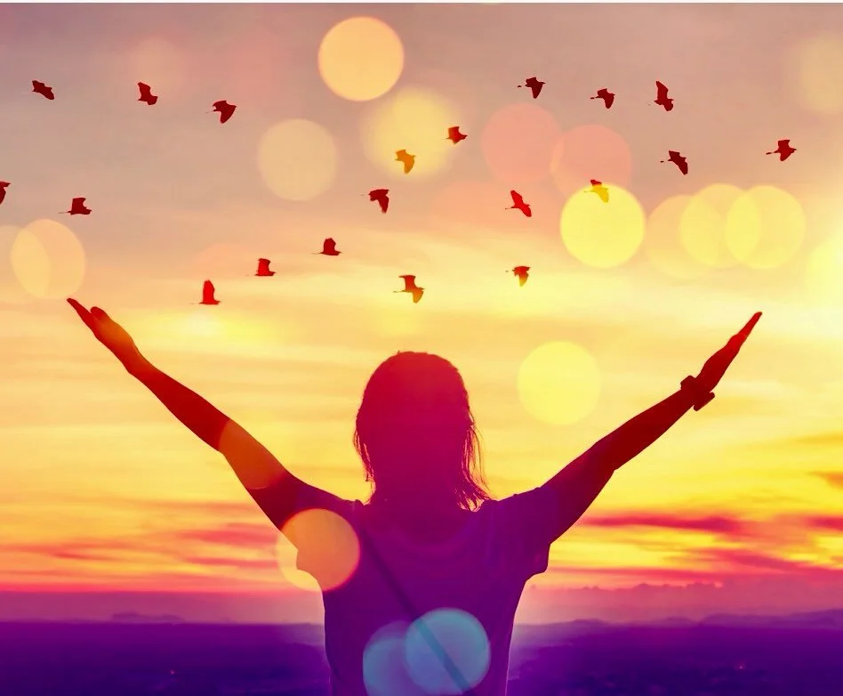 The September Sacred Sendoff Ceremony has just been completed, honoring and celebrating the lives of the following incredible sentient beings. Each one was acknowledged with love and respect, letting them know they are forever cherished, remembered, 