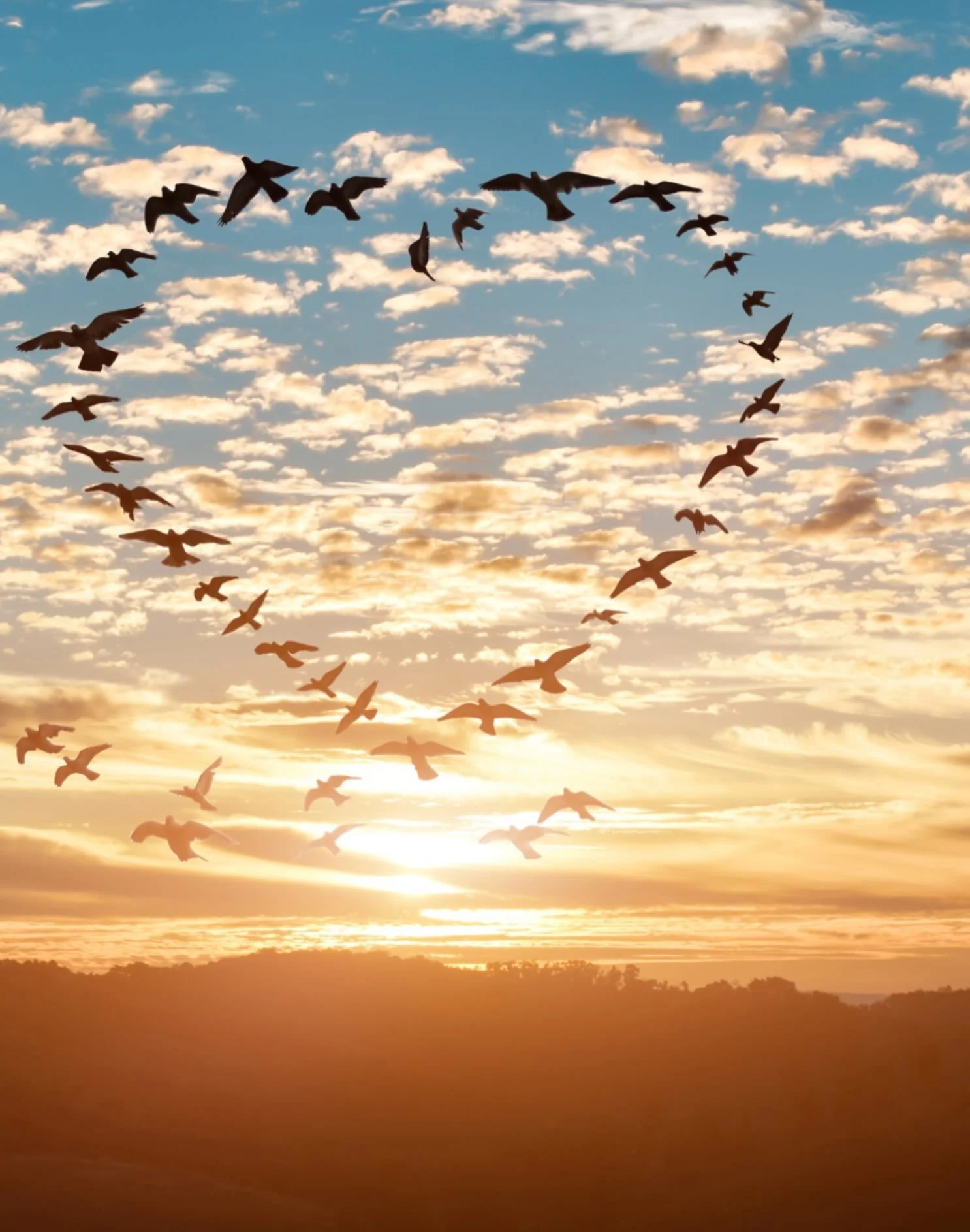This coming Sunday, I&rsquo;m offering my free Sacred Sendoff Ceremony for the month of October, a heartfelt opportunity to honor and remember the animals who have passed that touched our lives, both near and far.

These ceremonies are to honor anima