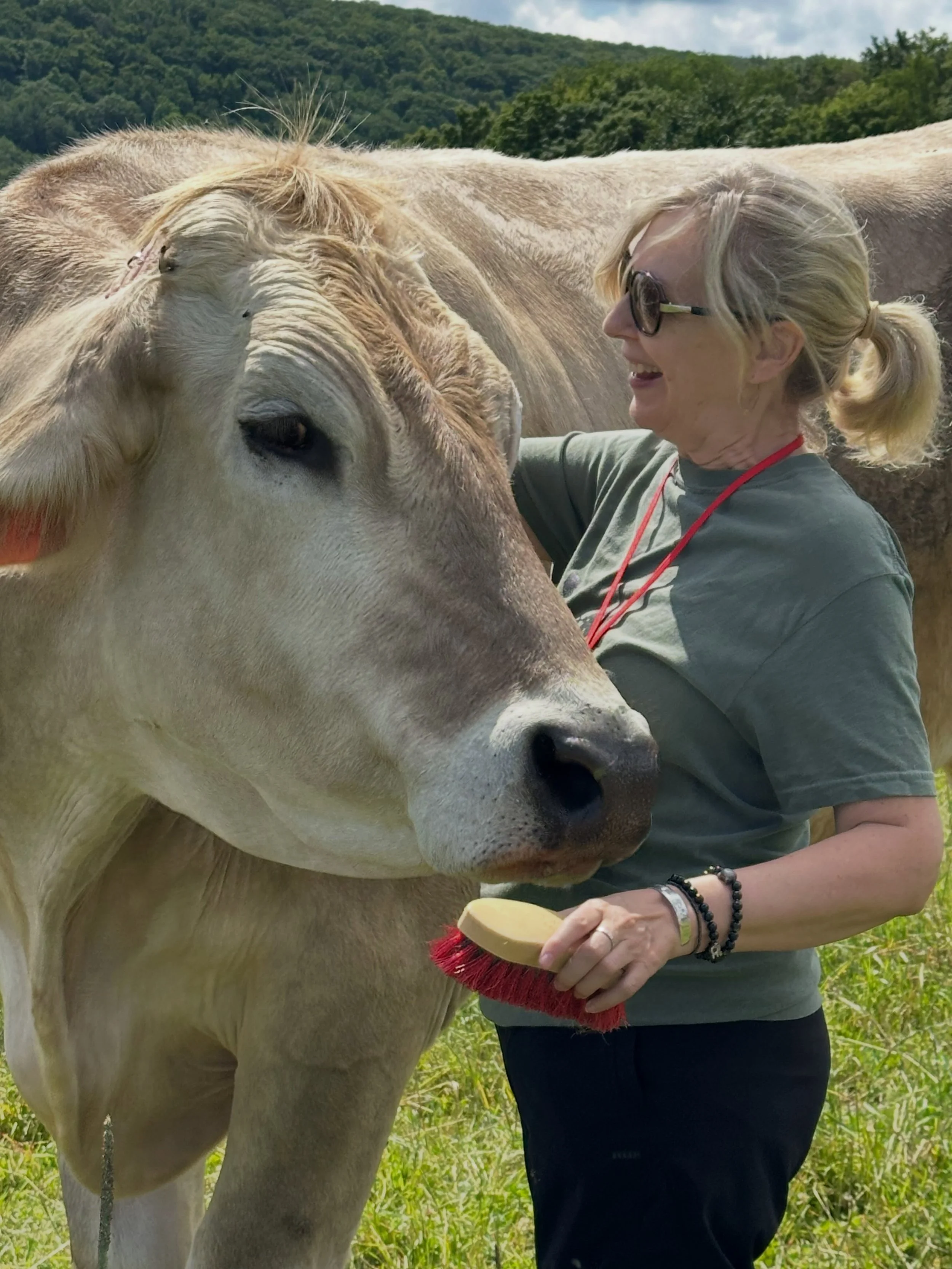 This is Greg. ❤️

Greg is a resident of @farmsanctuary, and I had the joy of spending time with him this past June.

Greg is an individual.

And so is every farmed animal.

They form friendships. They seek comfort. They experience joy and fear. Each 
