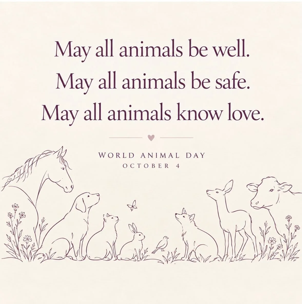 Yesterday, I had the privilege of taking part in a beautiful Blessing of the Animals, honoring the animal companions who share our lives.

Today, on World Animal Day, that circle widens. We extend that same care and compassion to wildlife, farmed ani