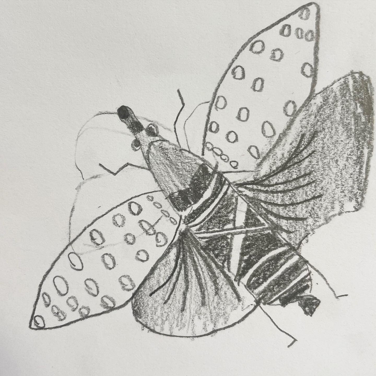 Term 3- all things bugs! Kicking it off with some lovely drawing like this little one by Ashley 🙌🏼🦗🦟🪳🪲🪰🐞🐜🦋🐛
