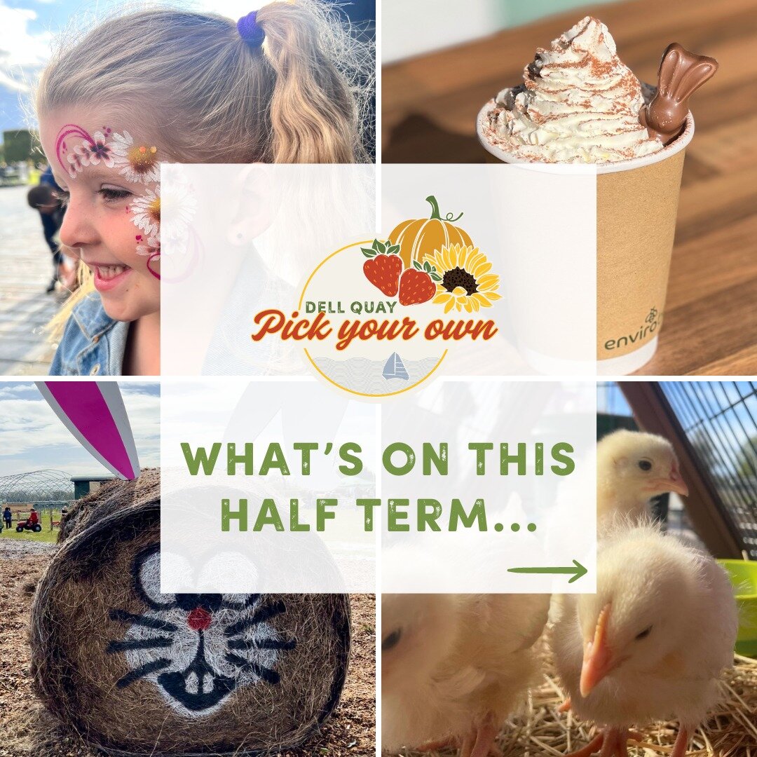 There's lots to do here at Dell Quay PYO this half term👇🏼

🐴 Meet @the_lsf_experience Animals
🐣 Scavenger Hunt
🎨 Face Painting*
🚜 Ride-on Toys
👩🏻&zwj;🍳 Mud Kitchen
🧁 Cafe Treats
🖍 Craft Activities

Click the link in our bio to book now!
*F
