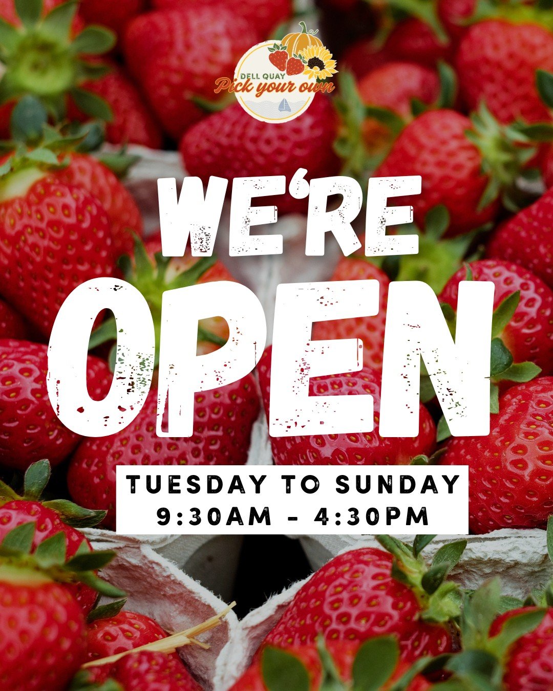 ☀️Summer Opening Hours☀️

Join us for strawberry picking Tuesday to Sunday, 9:30am - 4:30pm and fill your punnets with the freshest and juiciest berries🍓 FREE entry, no booking required - just pay for what you pick!

Don't forget, we're always close