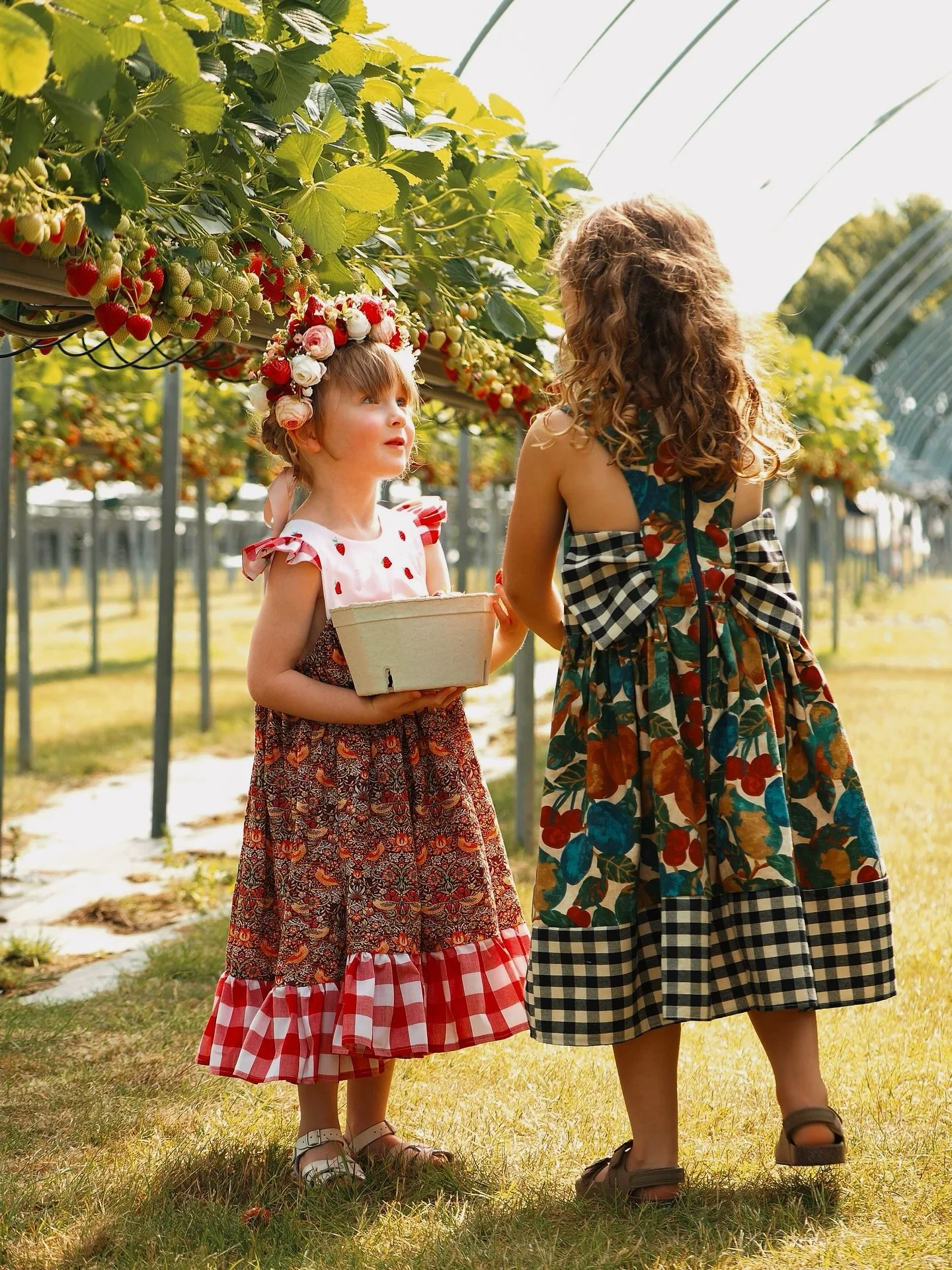Fresh berries, sunshine, and a whole lot of fun! 🍓☀️ 

Don&rsquo;t miss out on strawberry and raspberry picking this weekend - we have oodles of fruit waiting to be picked! 

#strawberrypicking #raspberrypicking #pyofruit #pyofarm #dellquaypyo