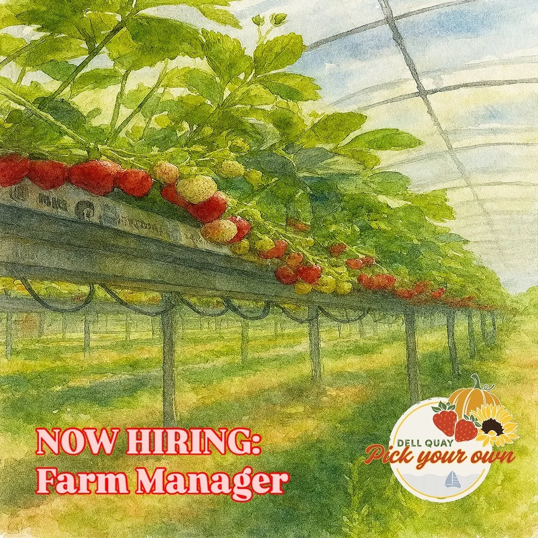🍓 We&rsquo;re Hiring! Join Our Strawberry Farm as a Farm Manager 🌱

Do you have a passion for agriculture and a knack for leadership? We&rsquo;re looking for an experienced, hands-on Farm Manager to oversee daily operations on our vibrant, and very