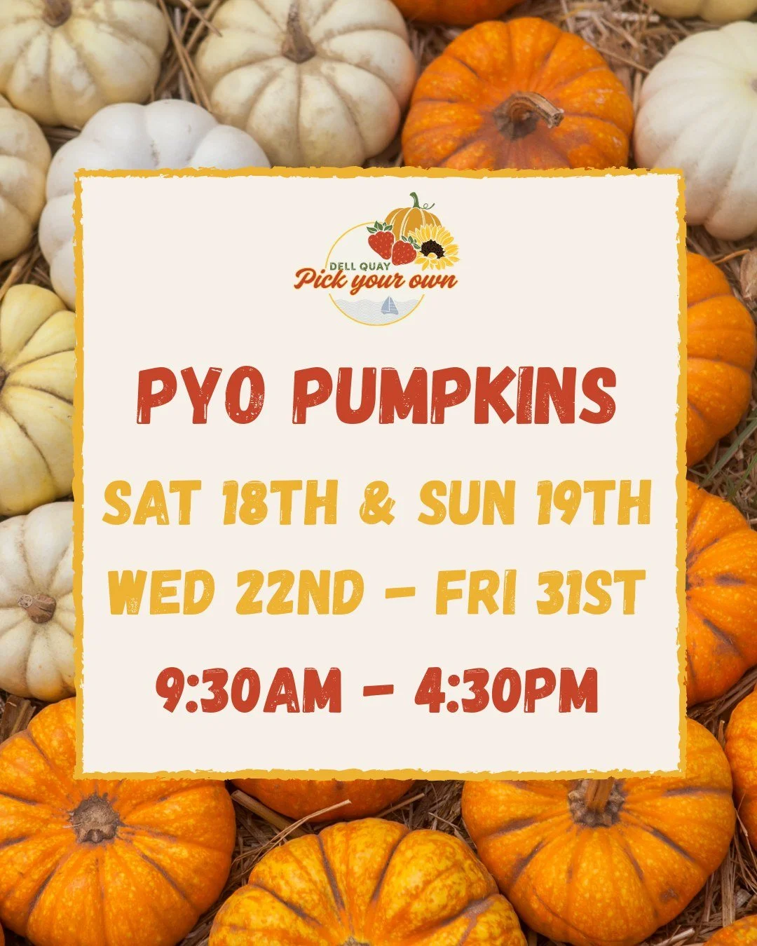 Dates for your diary this October👆🏼

Pumpkin season is on the horizon - so make sure to save the dates, so you don't miss out🎃

Get ready for lots of pumpkins, spooky fun, tasty treats and much more! As always, there's no booking required here at 