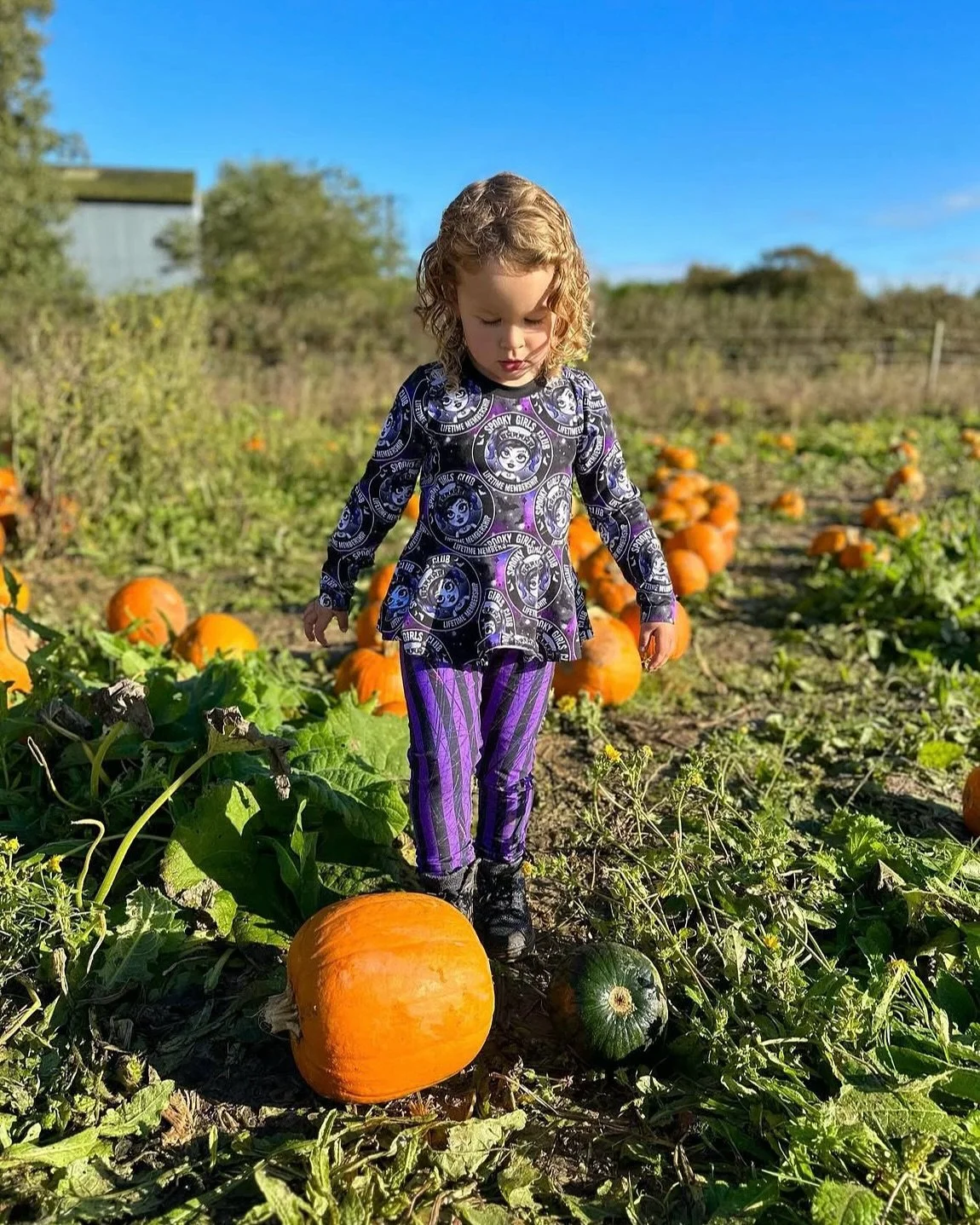 A day in the patch, pumpkins picked and smiles all around🎃

Nothing beats finding that perfect pumpkin to take home!

Who&rsquo;s ready for pumpkin picking season? Tell us below👻

#pumpkinpicking #dellquaypyo #autumnfun #familyfun #daysout #familyd