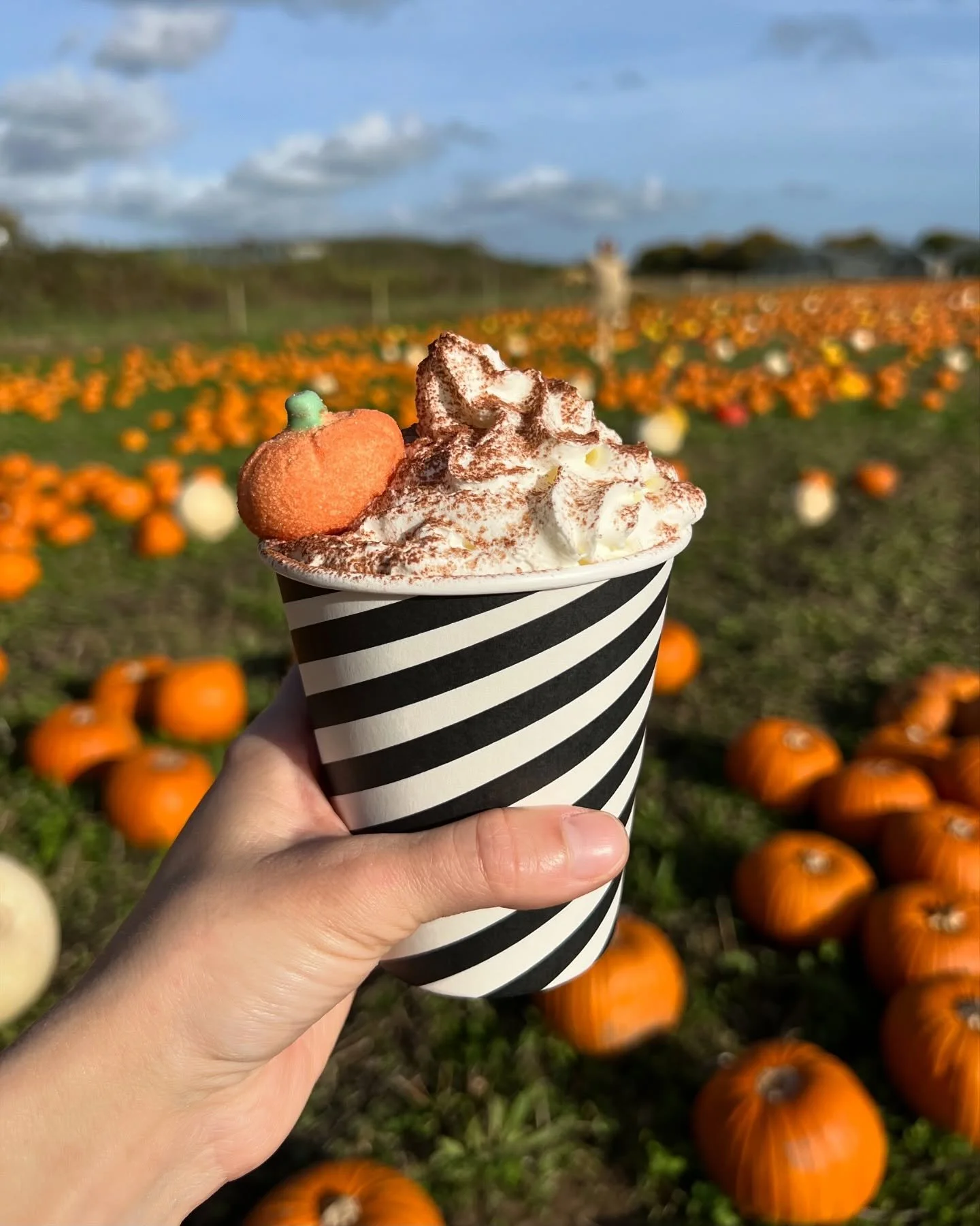 It&rsquo;s the perfect day to pick your favourite pumpkin and treat yourself to a Halloween hot chocolate☕️

Have you visited us yet? If not, don&rsquo;t panic - there&rsquo;s still time! We still have a fantastic selection of pumpkins, squashes, gou