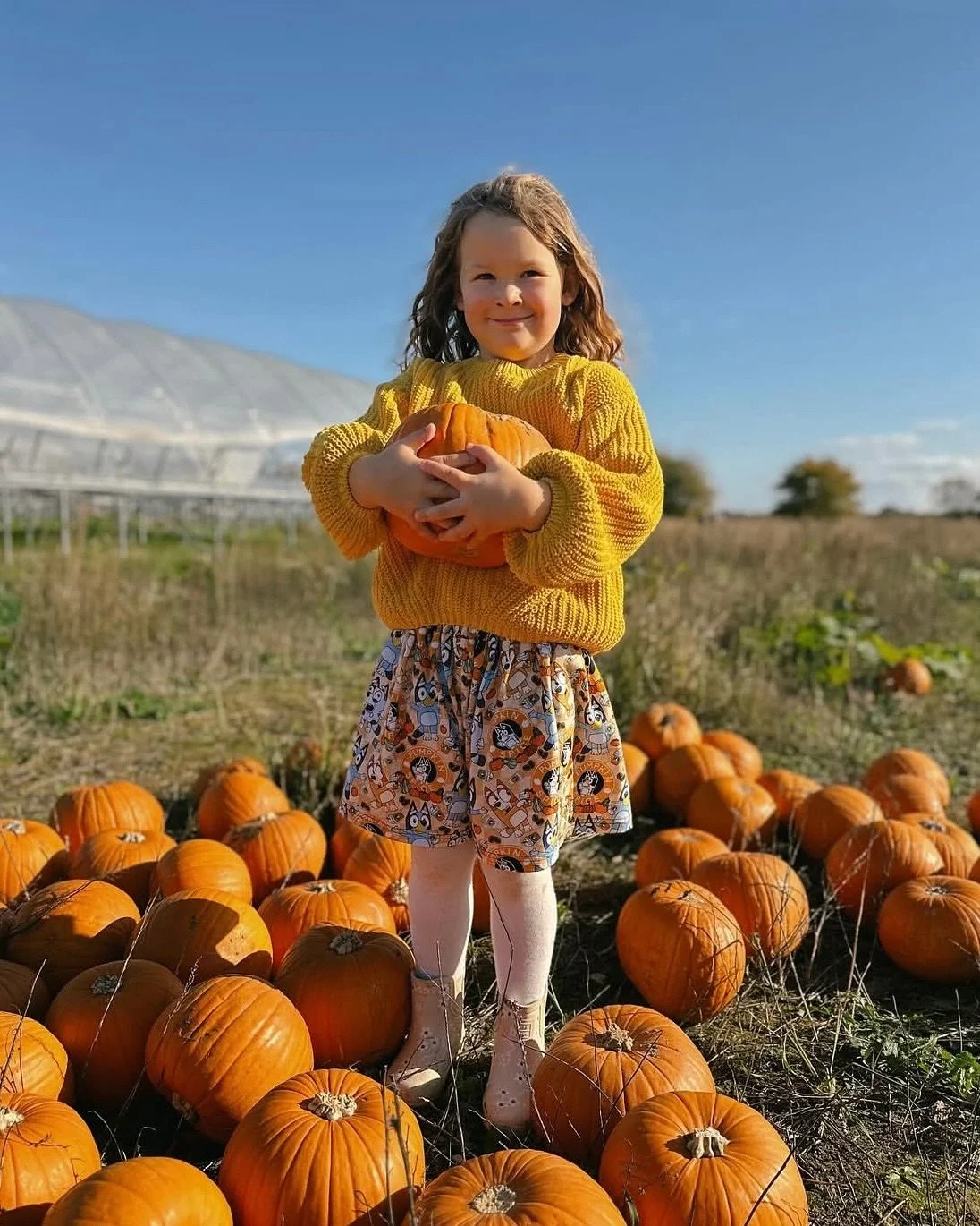 PYO Pumpkins 2025 - over and out🎃

A huge heartfelt thank you to everyone who joined us in the patch this season. Your smiles, laughter, and muddy boots made it truly magical 🧡

We&rsquo;re so grateful for every visit, every photo, and every perfec