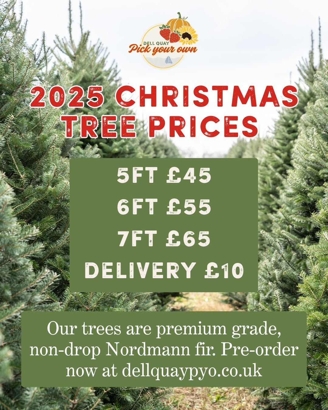 Our 2025 Christmas tree prices are here🌲

And good news&hellip; they&rsquo;re looking wonderfully familiar 😉 That&rsquo;s right - our prices have stayed the same as last year, so you can bring home a beautiful, premium grade Nordmann fir without th