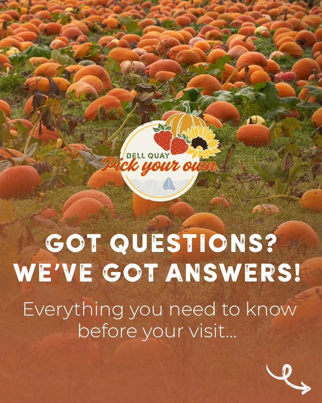 🎃 PUMPKIN PATCH FAQS 🎃

Planning your visit? We&rsquo;ve answered some of our most frequently asked questions to help you get ready for a day of pumpkin picking and spooky fun👻

From what to bring and what&rsquo;s on, to pumpkin prices and our dog
