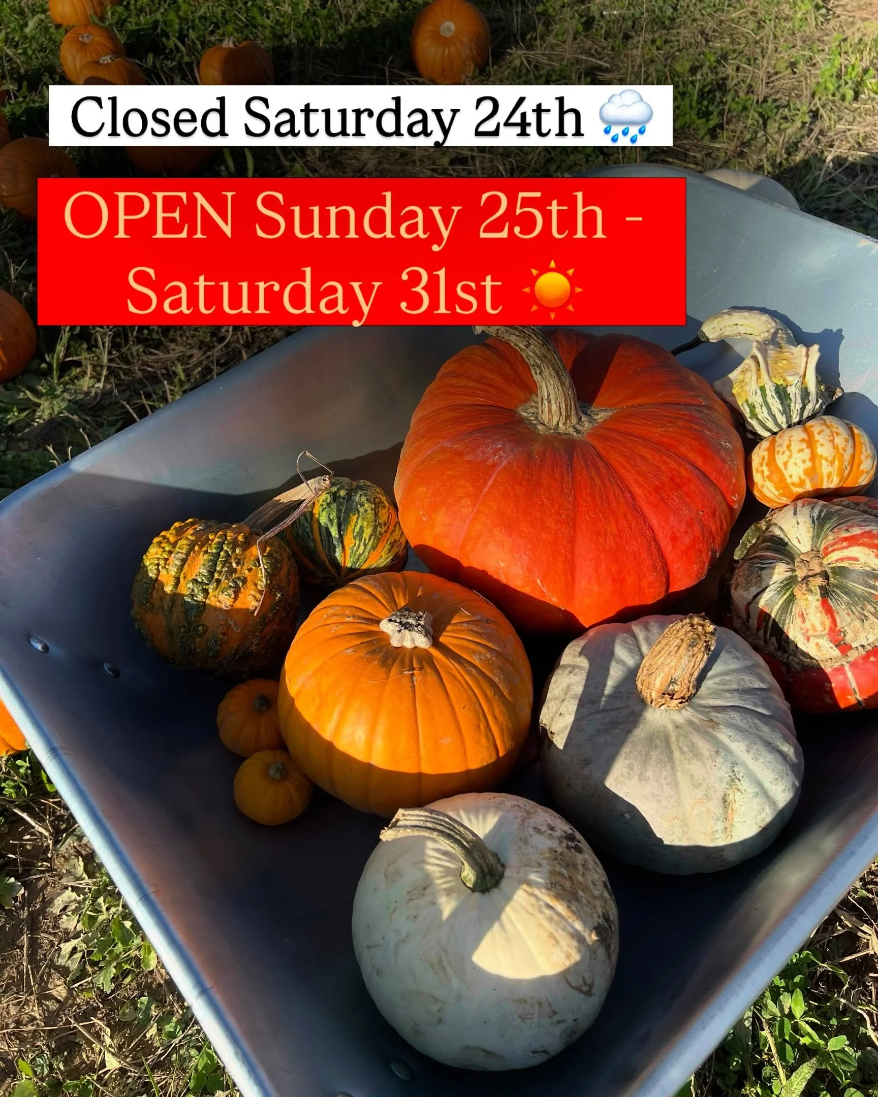 🌧️ ANOTHER WEATHER UPDATE 🌧️

Unfortunately, due to the forecast weather conditions, we&rsquo;ve made the difficult decision to close the pumpkin patch again tomorrow 💔

It&rsquo;s already been a really difficult year weather-wise, and it&rsquo;s 