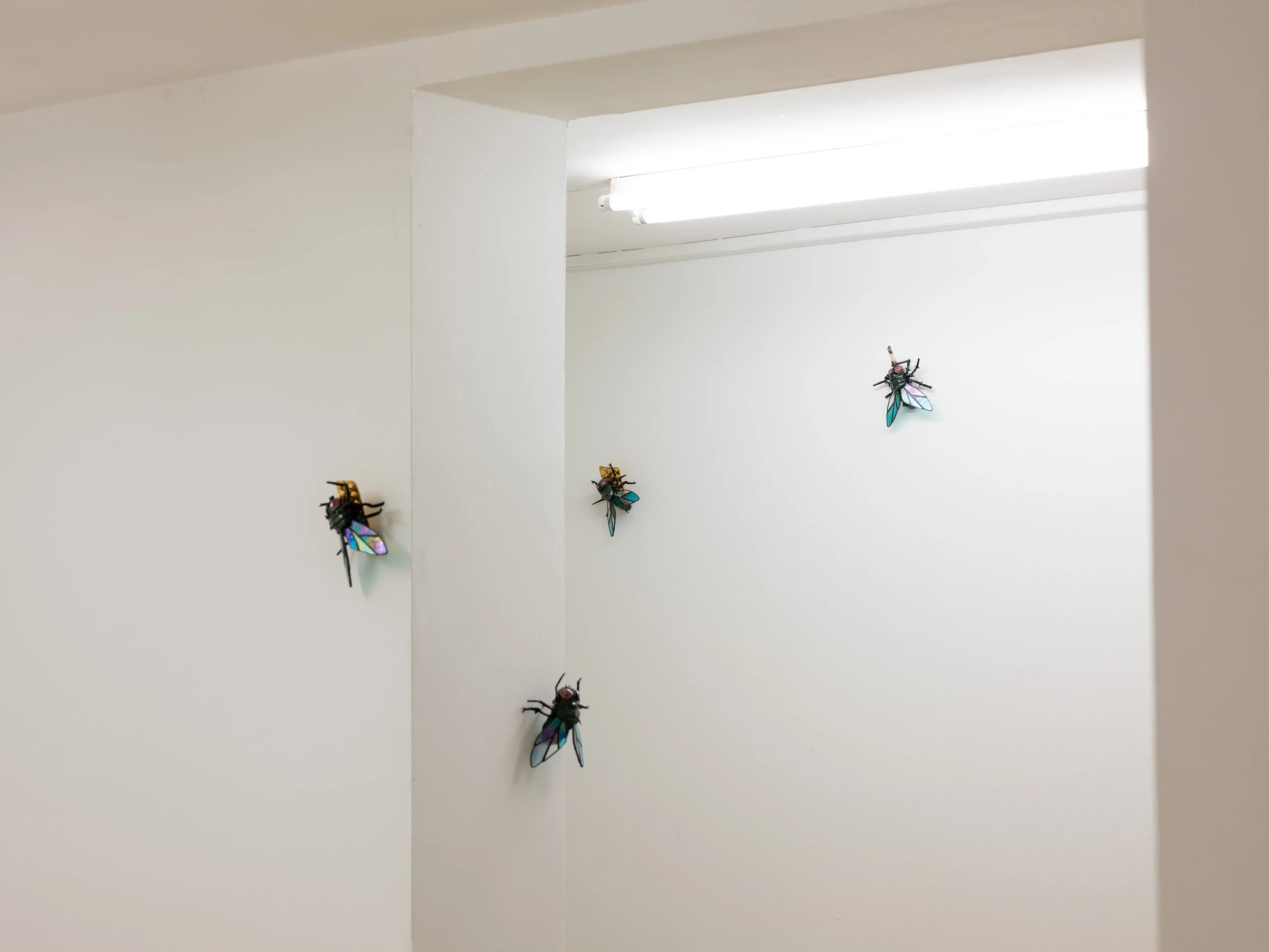 DSCF6795.jpg