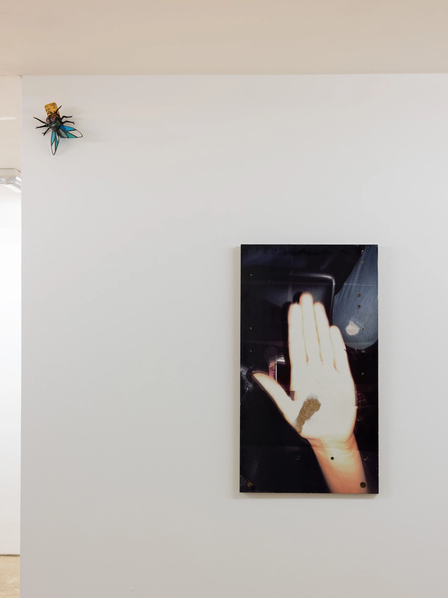 DSCF6766.jpg