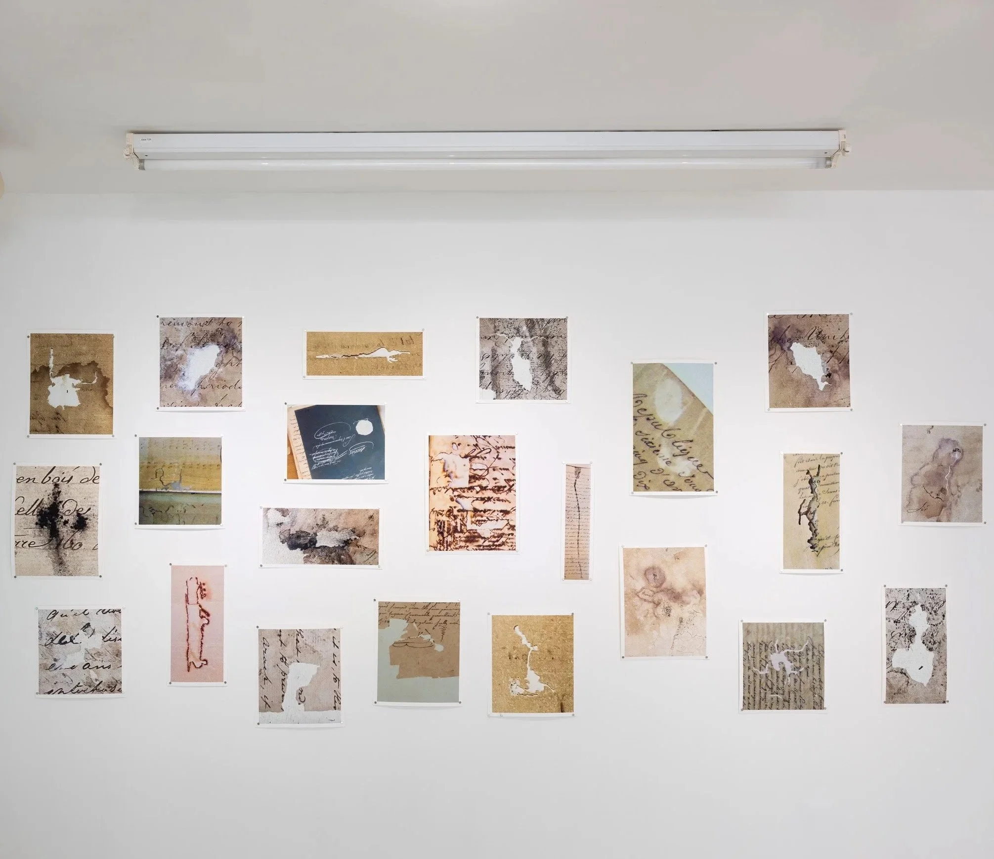 Guided artist tour of Peter Nicholls works in '4 Years in Dreamland'