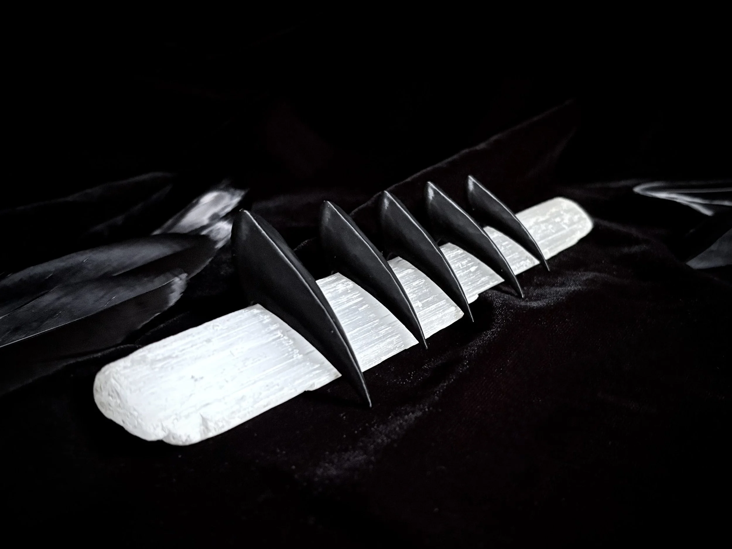 Set of 5 Black Claw Nail Rings
