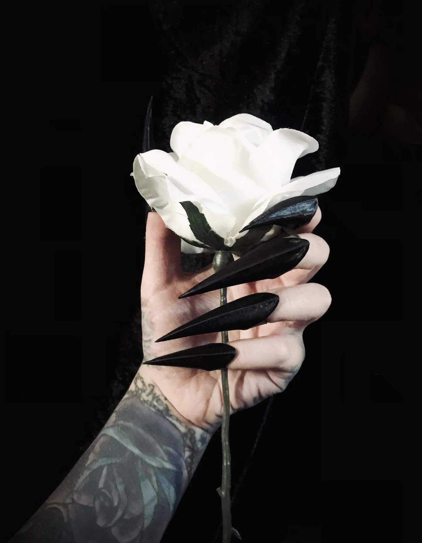 Please note in order to get yours in time for Halloween, UK orders will need to be placed by the 22nd at the latest and US/International by the 17th to account for customs checks, TY 🖤🙌🏼 

&bull;&bull;&bull;&bull;

#halloweenallyear #clawrings #cl