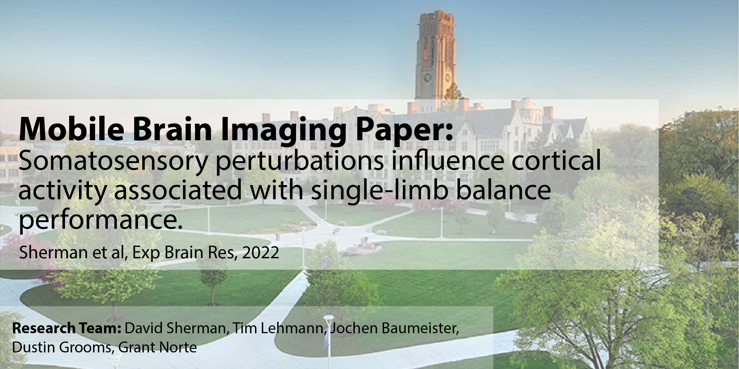 Unveiling the Impact of Sensory Perturbations on Balance: Neuroscience Insights