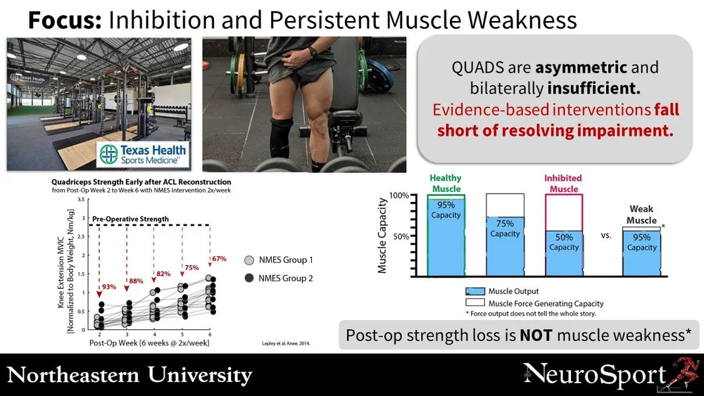 Rewiring Recovery: Treating Muscle Inhibition After Knee Injury — LIVE4 ...