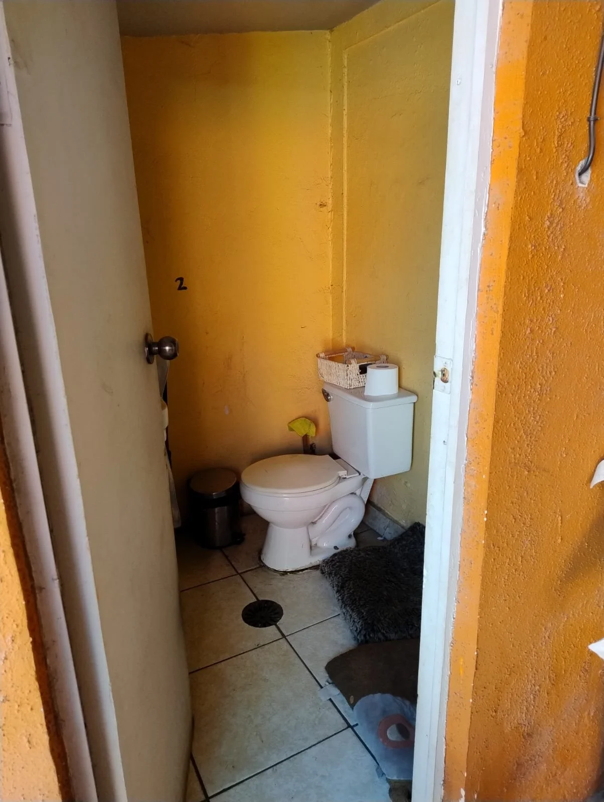 pedro plaza3.jpeg