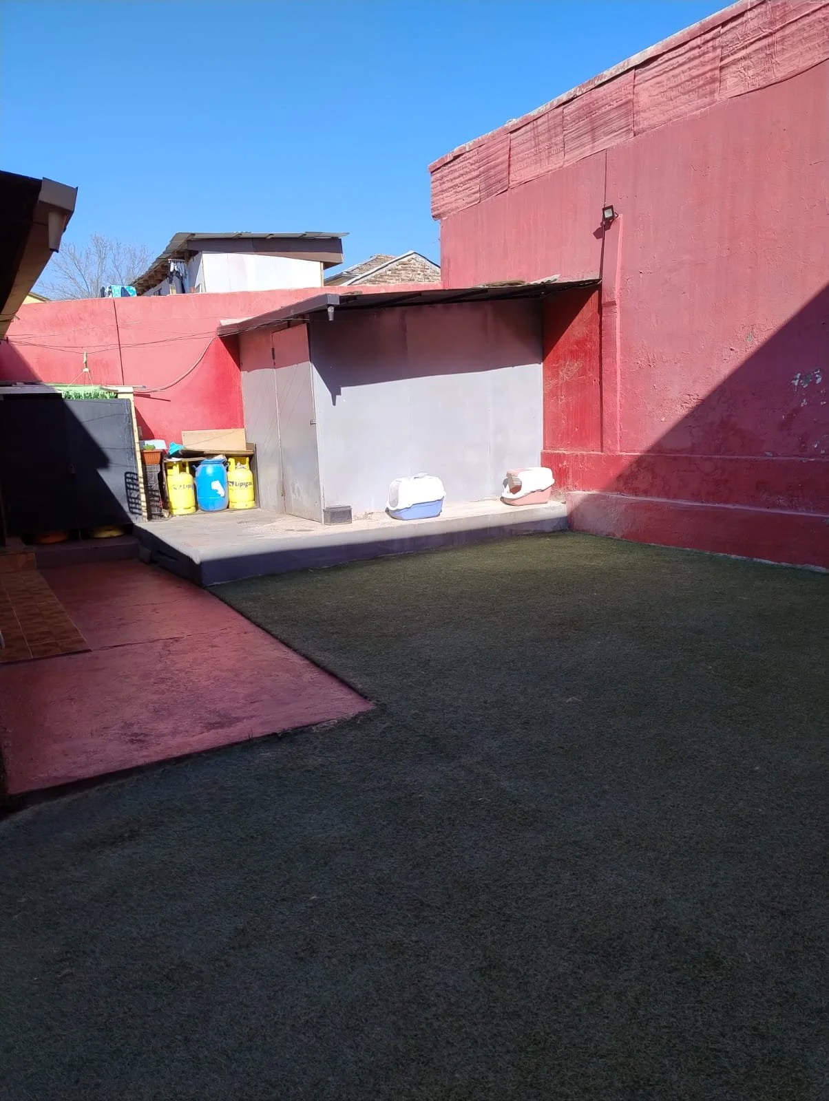 pedro plaza5.jpeg